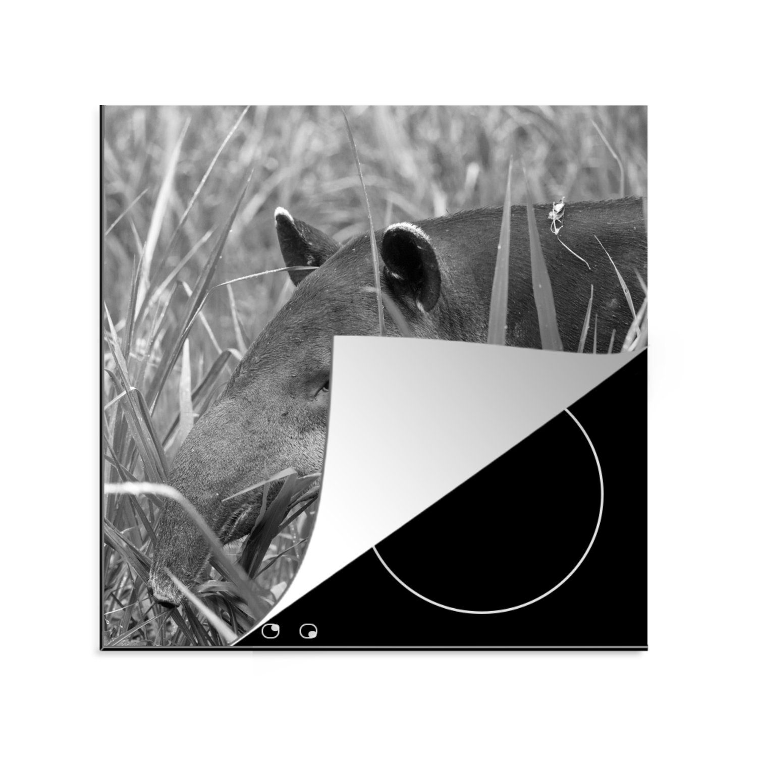 MuchoWow Herdblende-/Abdeckplatte im küche Arbeitsplatte in, Mittelamerikanischer für (1 Costa Tapir von Nationalpark Rica Ceranfeldabdeckung, Vinyl, 78x78 tlg), cm