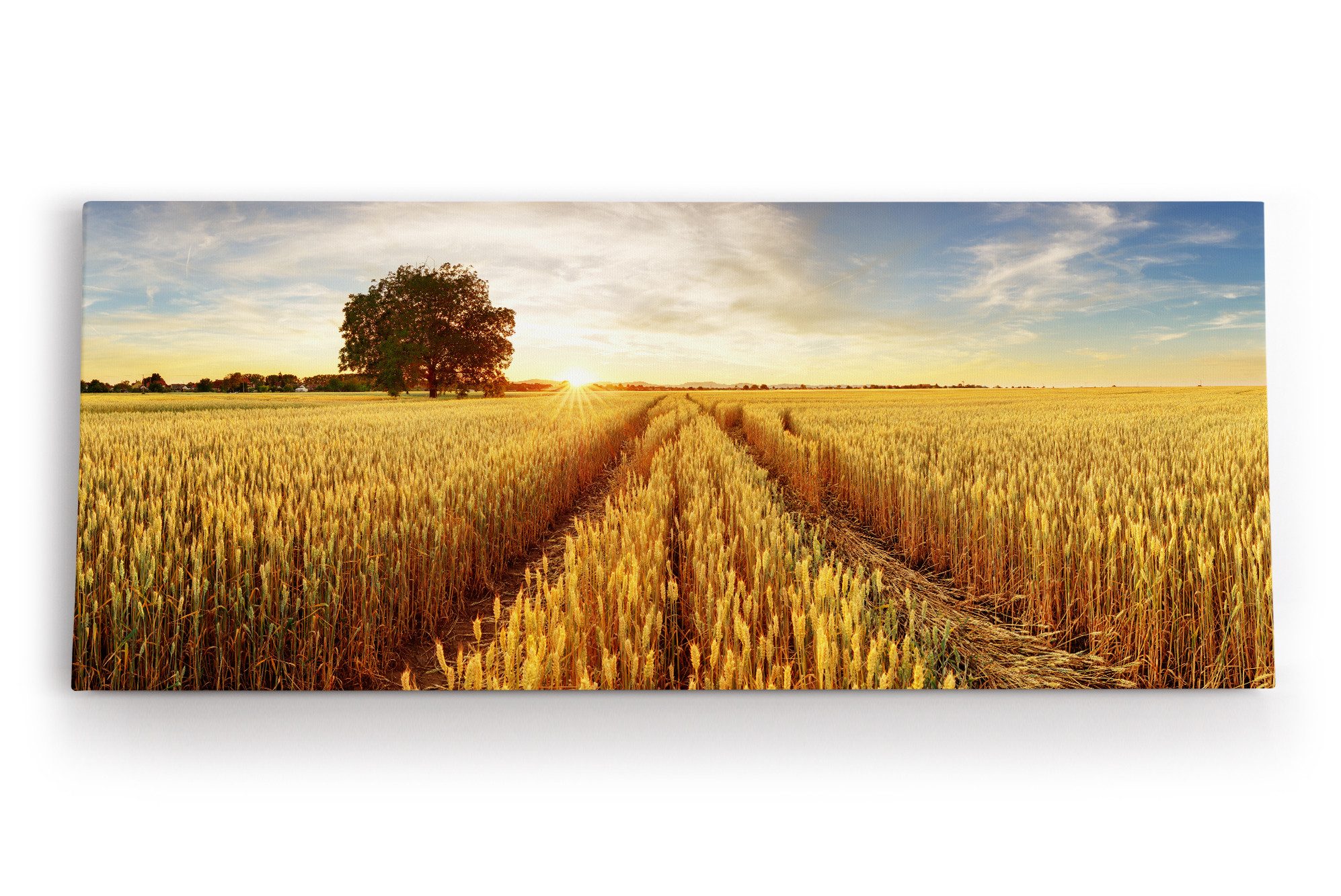 Leinwandbild Weizenfeld Weizen Sonnenuntergang Baum Landschaft