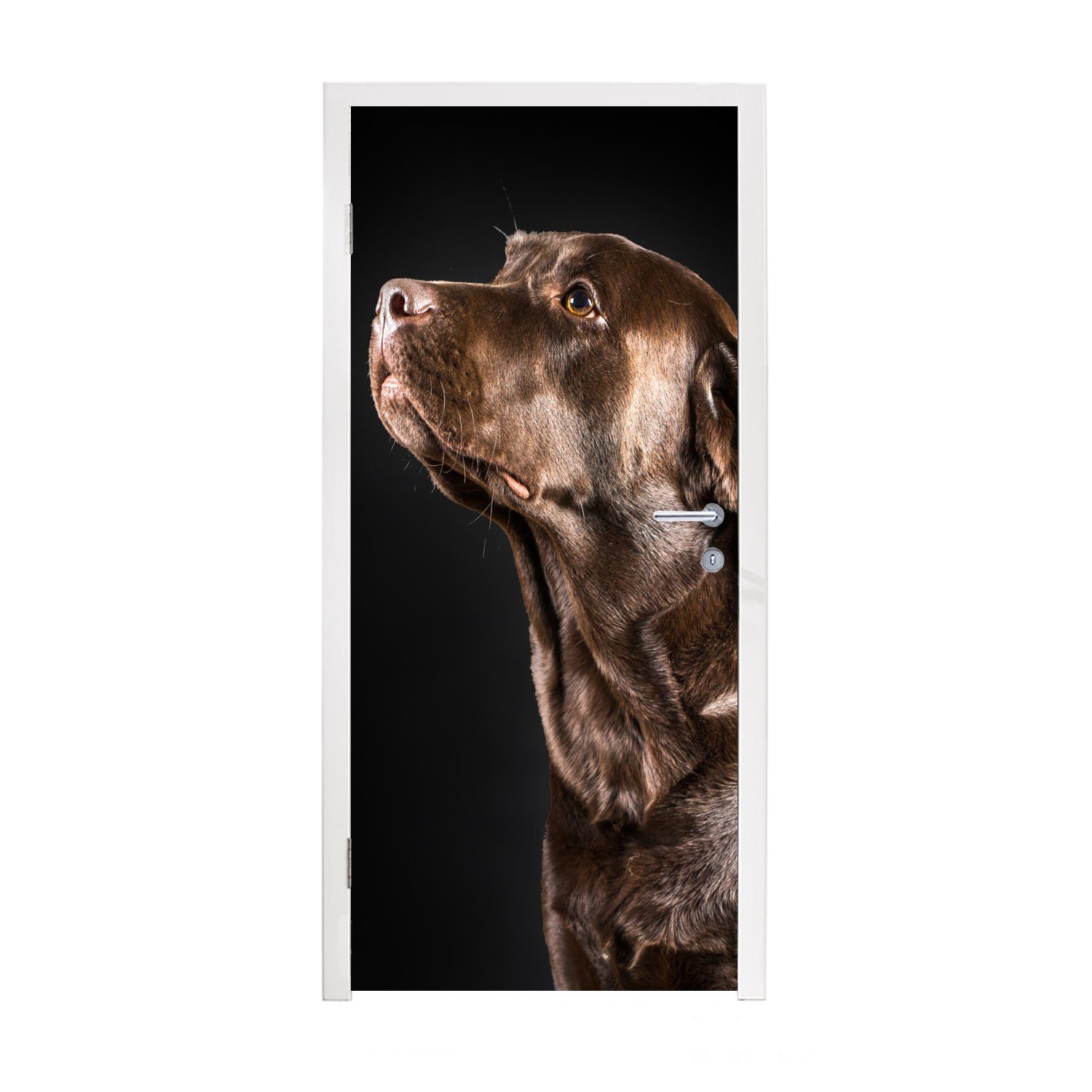 MuchoWow Türtapete Hund - Braun - Porträt, Matt, bedruckt, (1 St), Fototapete für Tür, Türaufkleber, 75x205 cm