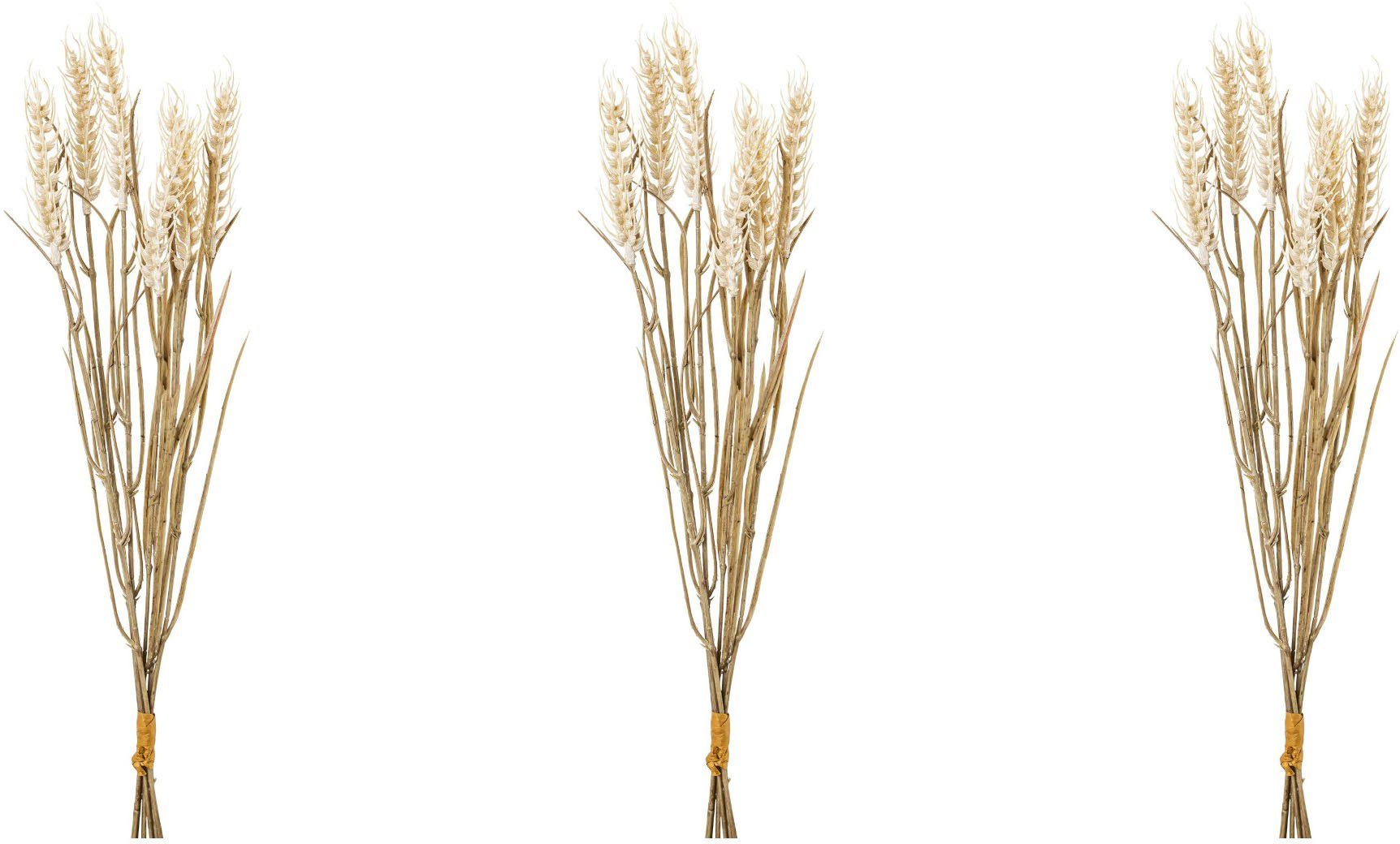 Kunstzweig Ährenbund