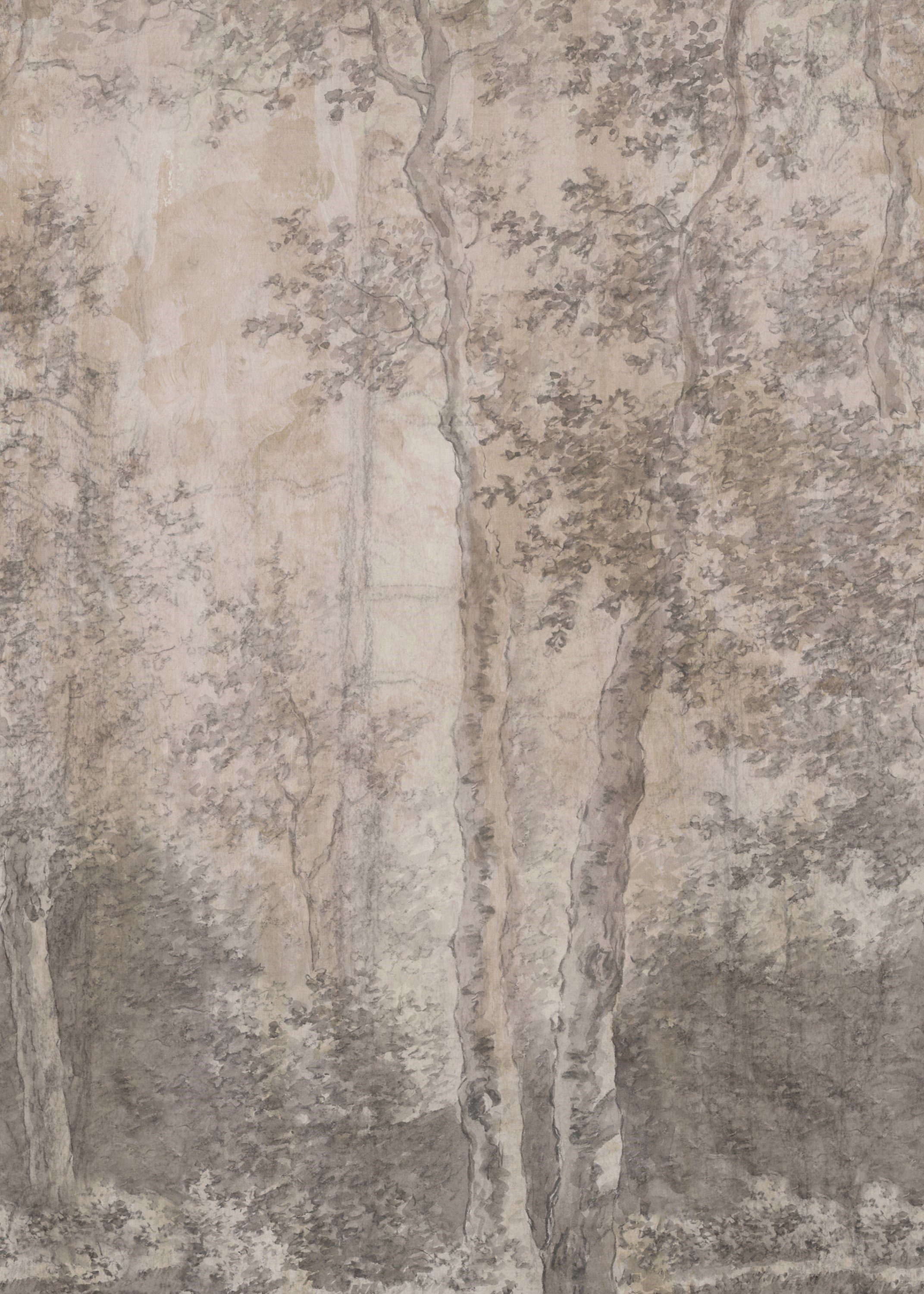 LOOKS by Wolfgang Joop Fototapete Birch Trees, texturiert, naturalistisch, (1 St), 200x270cm