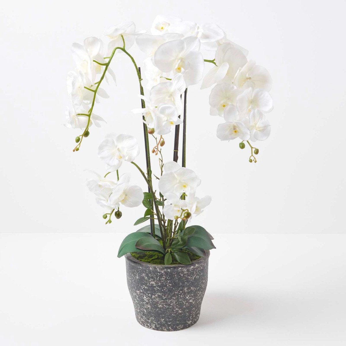 Kunstorchidee Künstliche Phalaenopsis-Orchidee im dunkelgrauen Keramik-Topf, 82 cm, Homescapes