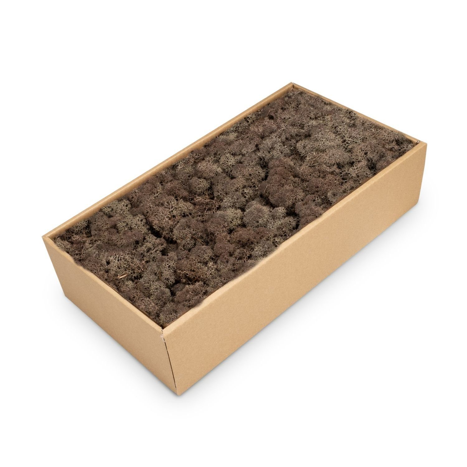 NaDeco Bastelnaturmaterial Islandmoos, Braun, 500 g Rentiermoos Mooswand