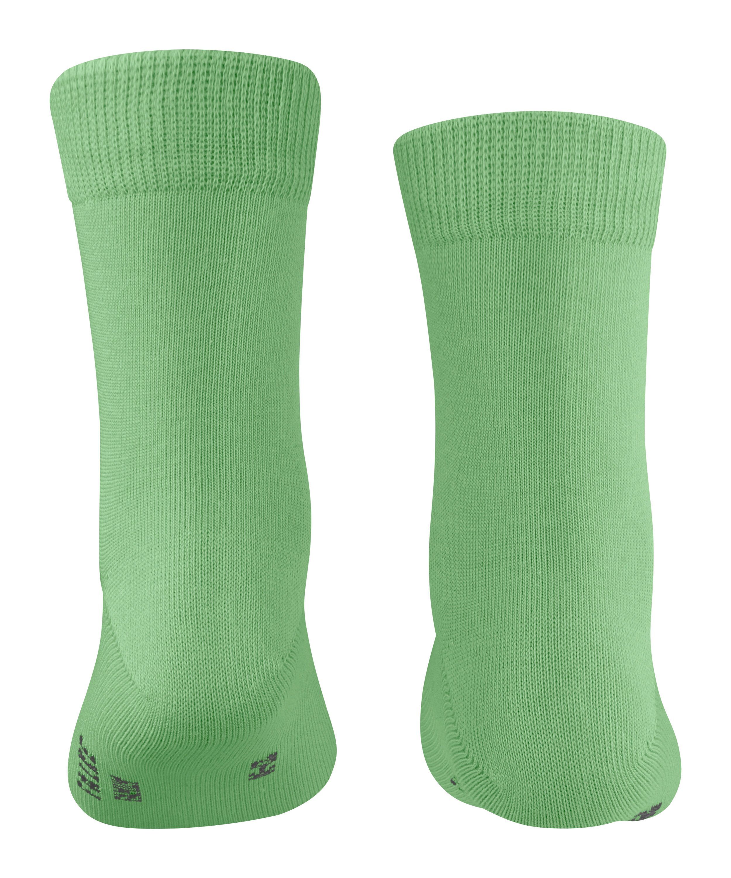 FALKE Socken Family (1-Paar) lizzardgreen (7486)