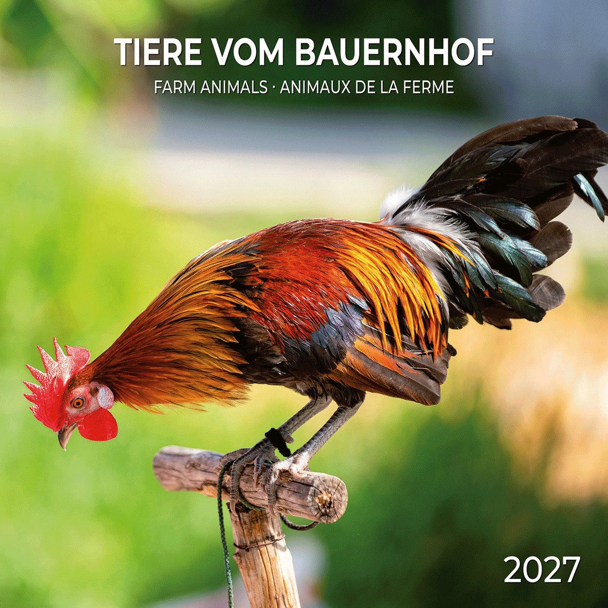 Wandkalender Tiere vom Bauernhof / Farm Animals 2027: Kalender 2027 (Artwork Edi
