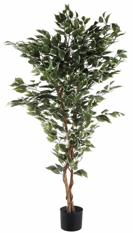 Kunstpflanze und echt Dauerhaft Ficus 150 green, Benjamini Höhe Ficus Benjamini, Creativ cm, täuschend schön