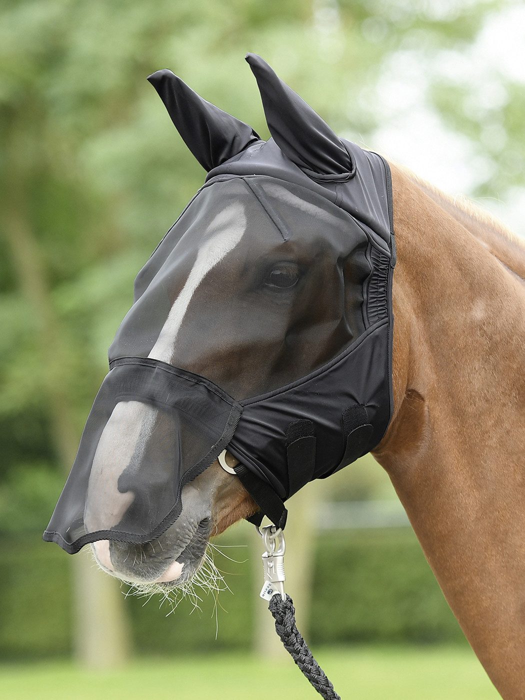 BUSSE Fliegenmasken Busse Fliegenmaske FLY BUCKLER PLUS