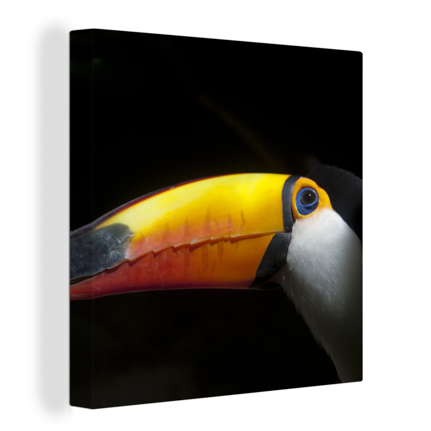 OneMillionCanvasses® Leinwandbild Tukan - Vogel - Schnabel, (1 St), Leinwand Bilder für Wohnzimmer Schlafzimmer