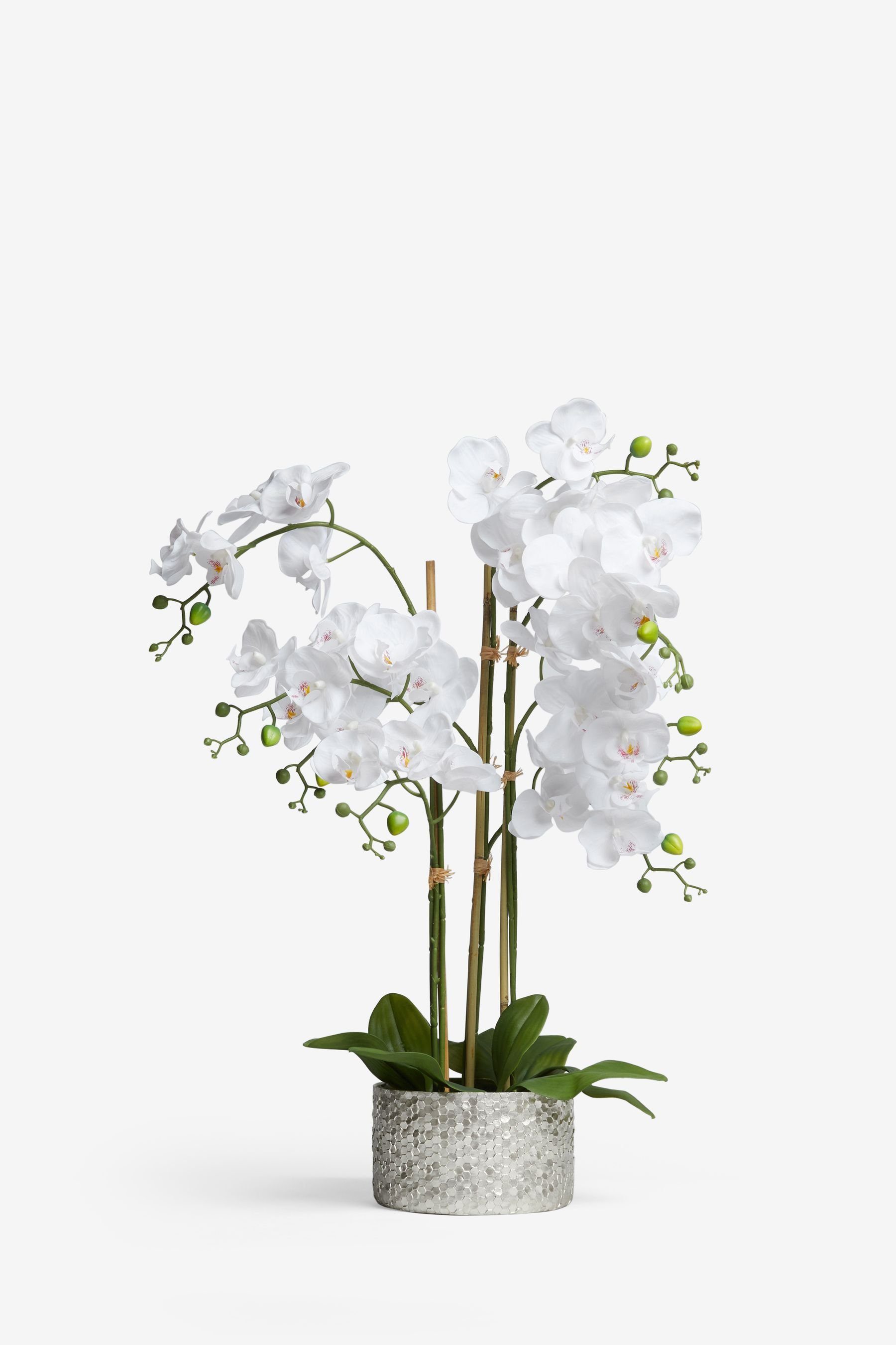 Kunstorchidee Groe knstliche Orchidee in silberfarbenem Topf, Next