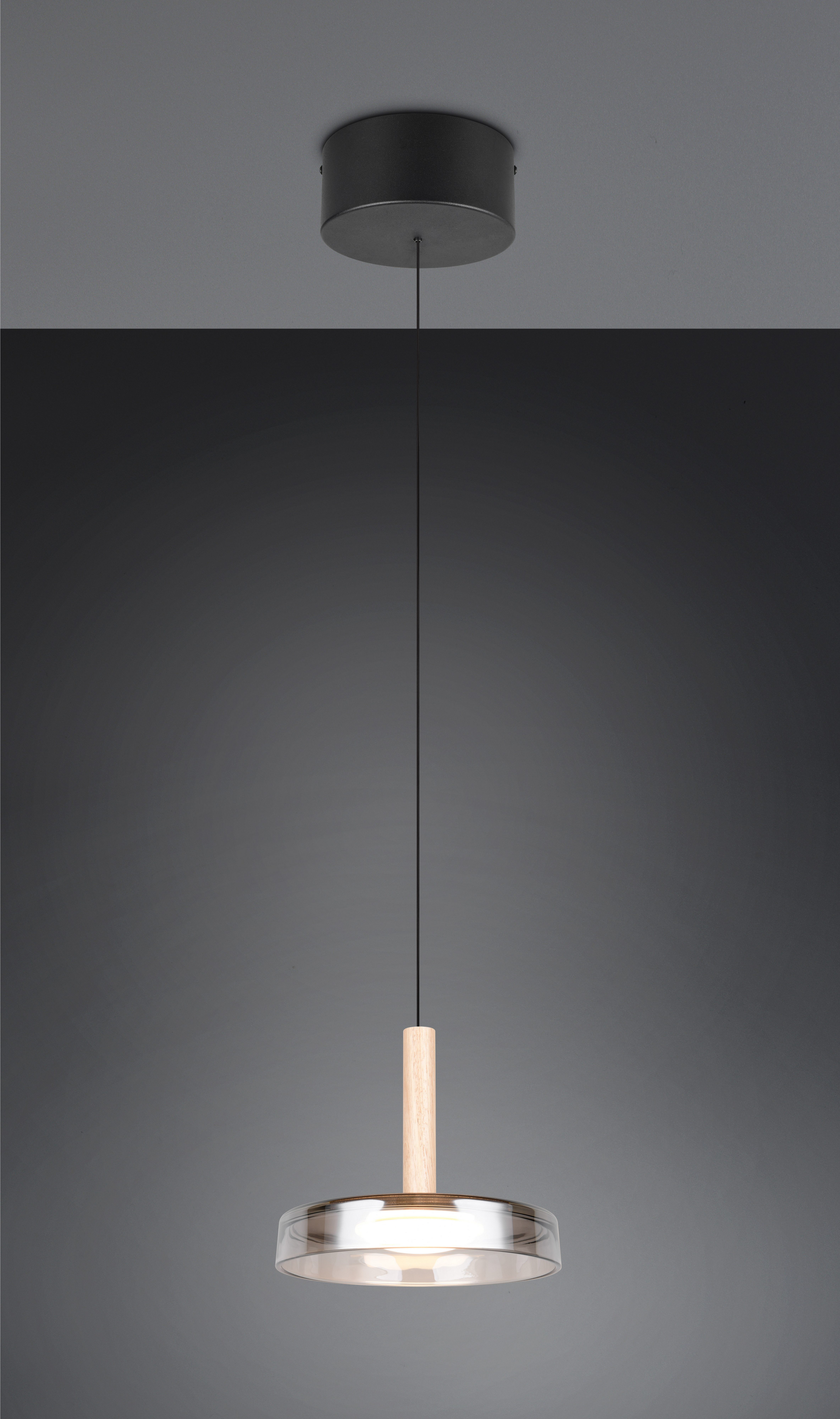 TRIO Leuchten LED Pendelleuchte CELESTE dimmbare LED Hängelampe aus Metall Glas & Holz, 10W 1100 Lumen, Dimmfunktion, LED fest integriert, Warmweiß, einfach höhenverstellbar von 50-200 cm, Ø 22cm, 3-Stufen Dimmfunktion