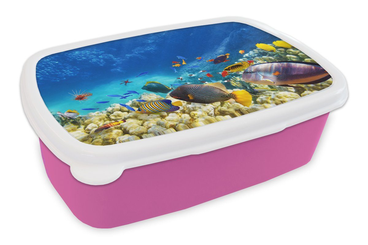 MuchoWow Lunchbox Meer - Fische - Korallen - Unterwasserwelt, Kunststoff, (2-tlg), Brotbox für Erwachsene, Brotdose Kinder, Snackbox, Mädchen, Kunststoff rosa