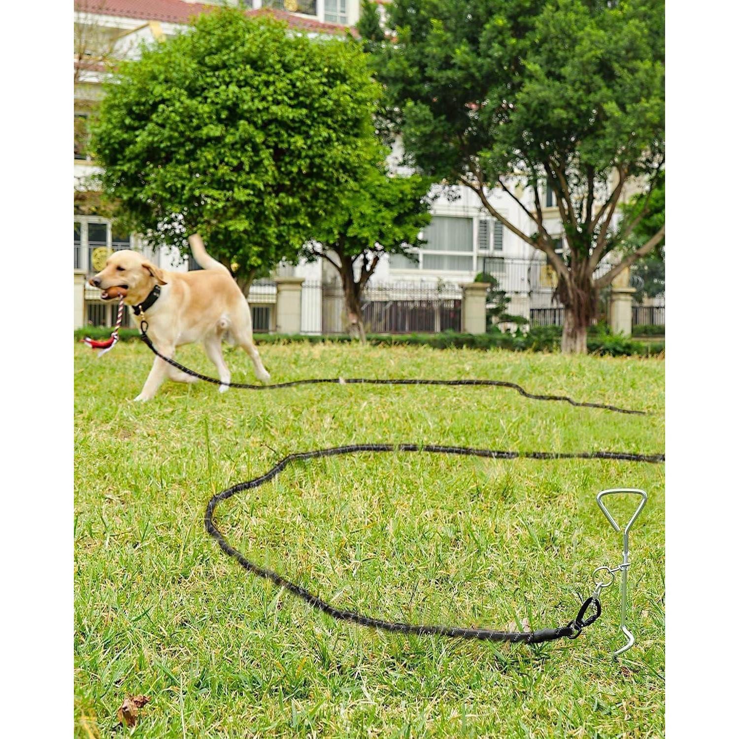 LuxusKollektion Schleppleine Schleppleine Hundeleine Hunde 5m 10m 15m 20m Griff 15M*1CM Schwarz