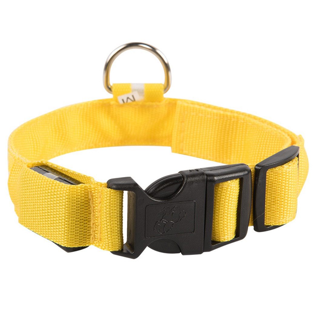Kevin Frotscher (FroShop) Hundehalsbandleuchte Hundehalsband Leuchthalsband Hund LED USB Aufladbar, Akku Halsband Gr. S Farbe GELB - Aufladbar USB Größe Gr. S (34 - 41cm)