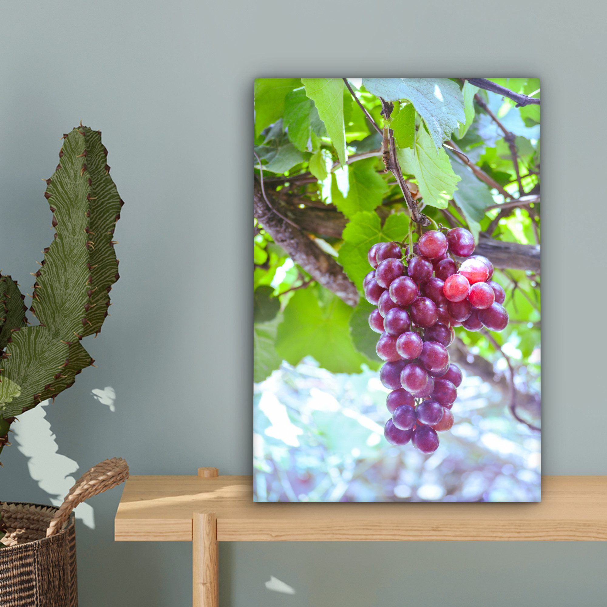 OneMillionCanvasses® Leinwandbild Rote Trauben im Weinberg auf einem Zweig, Fotodruck (1 St), Leinwand Canvas Wandbild, Wanddekoration 20x30 cm – Bild 3 von 5