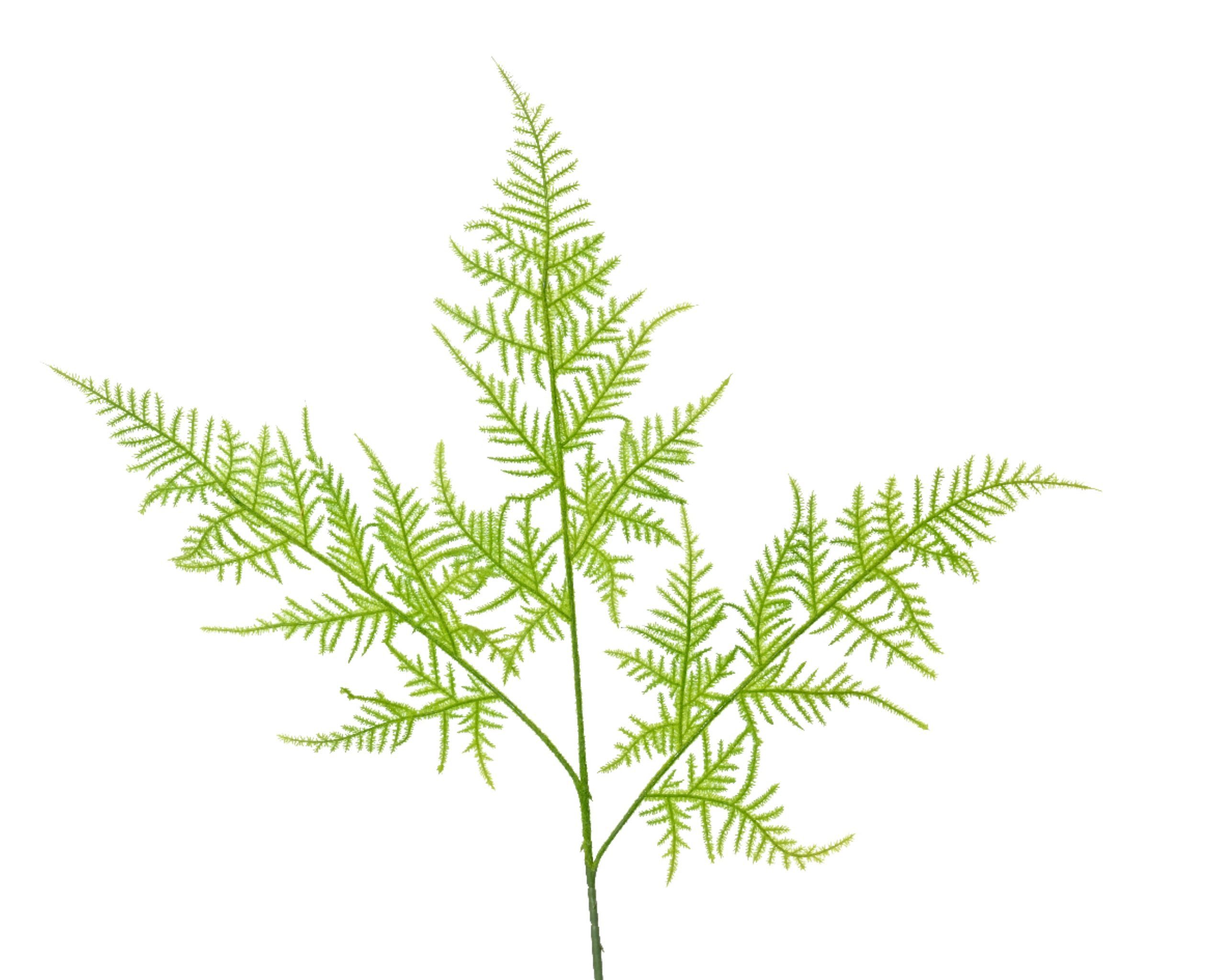 Kunstzweig, Decoris season decorations, Künstlicher Asparagus Zweig mit Stiel 85cm Grün