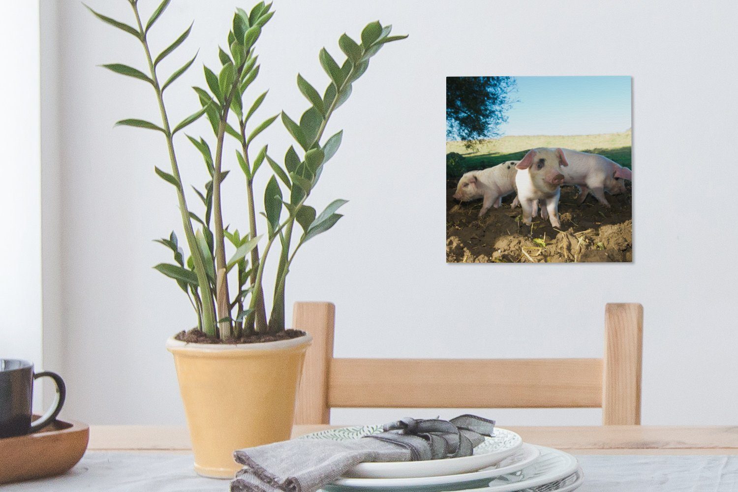 Schweine OneMillionCanvasses® Leinwand Tiere - Leinwandbild St), Bilder für Landschaft, Schlafzimmer Wohnzimmer - (1