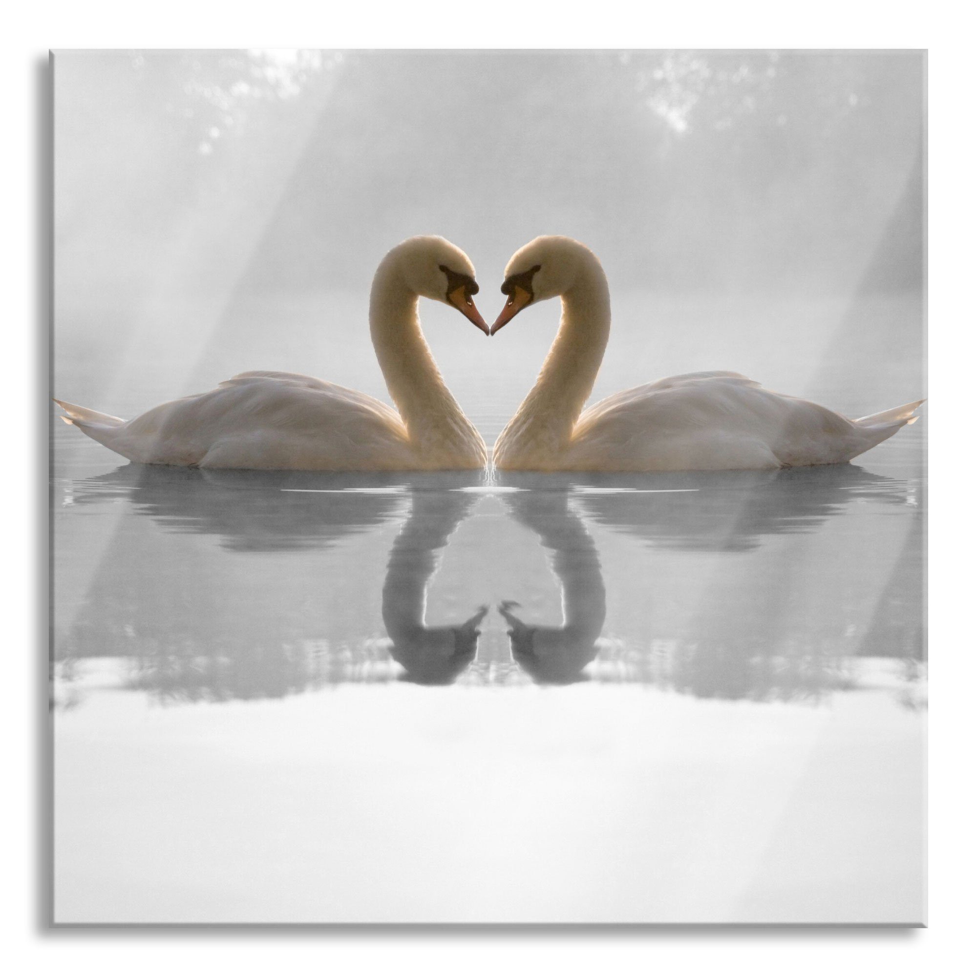 Pixxprint Glasbild verliebte Schwäne auf See, verliebte Schwäne auf See (1 St), Glasbild aus Echtglas, inkl. Aufhängungen und Abstandshalter