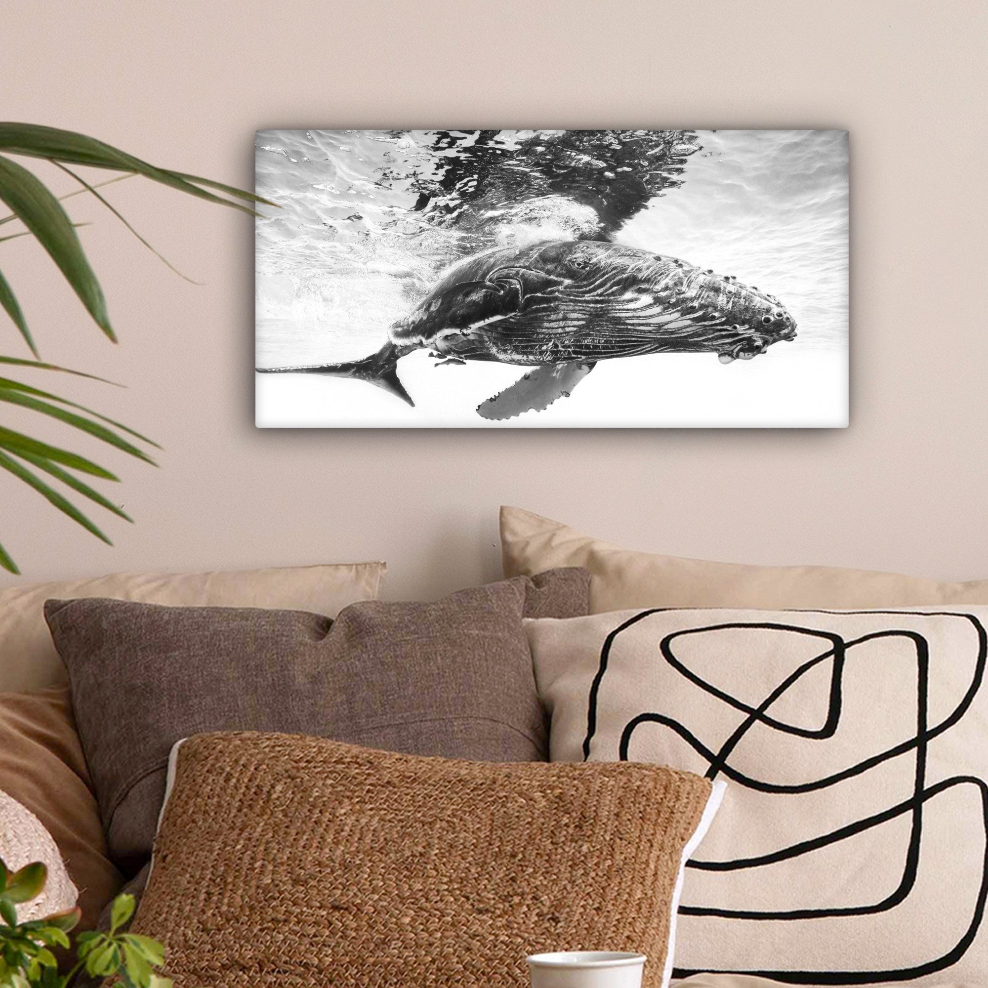 OneMillionCanvasses® Leinwandbild Panorama Wal - Wasser günstig online kaufen