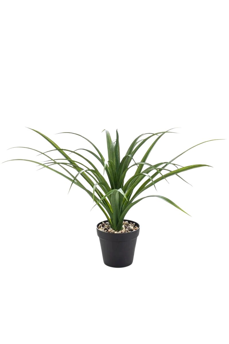 Kunstbaum Künstliche Yucca - Basti, 35 cm, Emerald, Höhe 35 cm