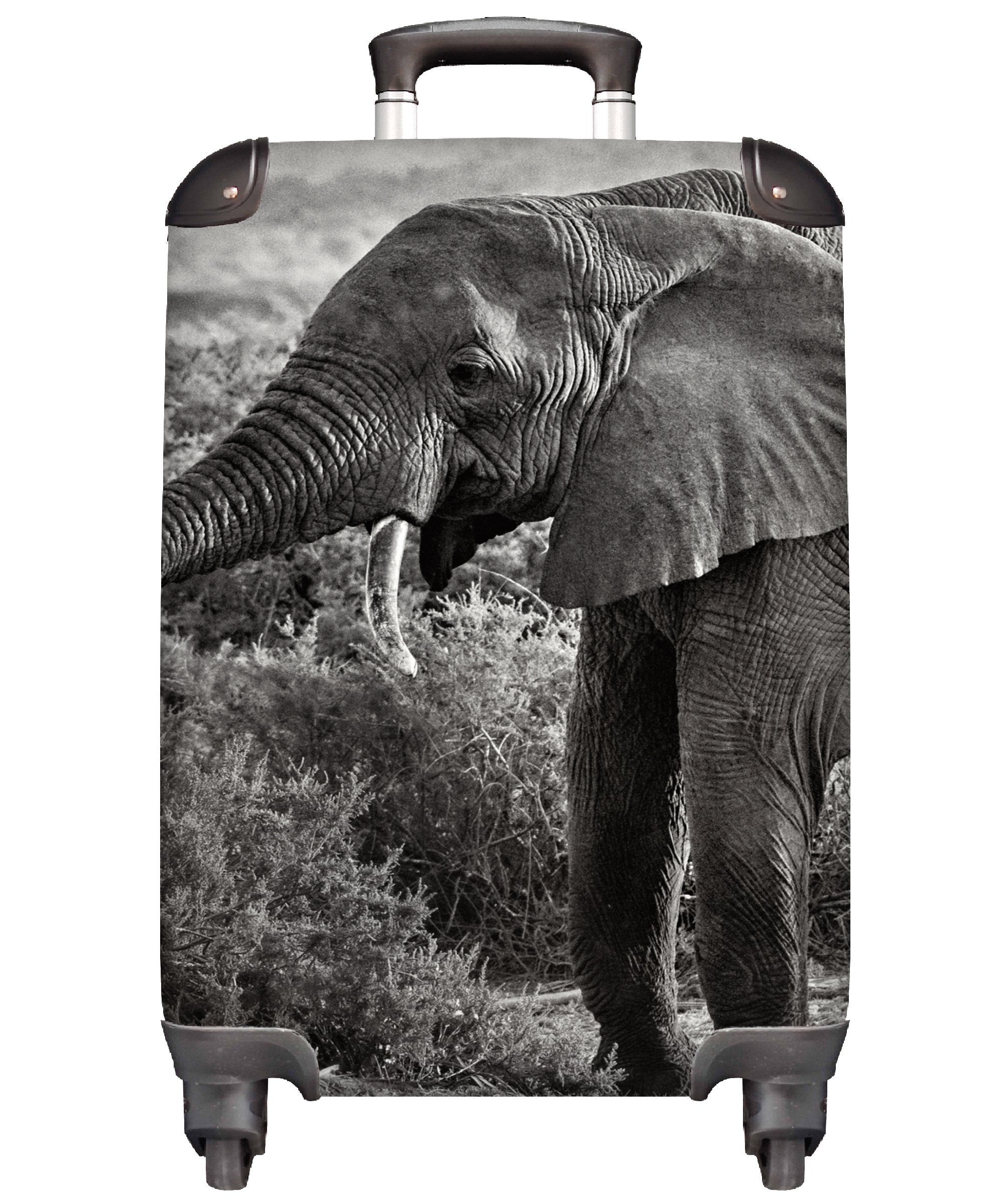 MuchoWow Handgepäckkoffer Elefant - Tiere - Bäume - Schwarz - Weiß, 4 Rollen, Reisetasche mit rollen, Handgepäck für Ferien, Trolley, Reisekoffer