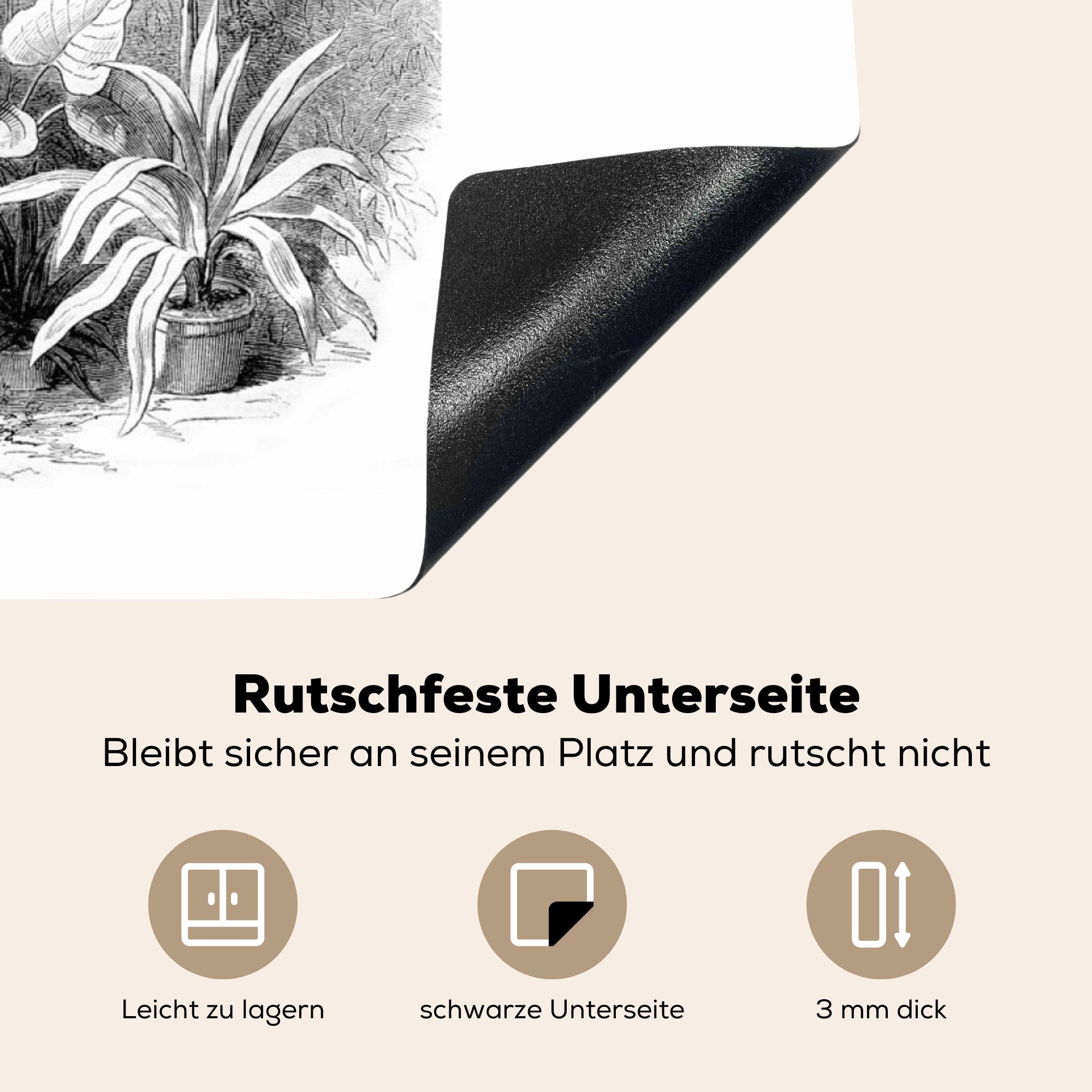 MuchoWow Herdblende-/Abdeckplatte Design - Natur tlg), Baum, Ceranfeldabdeckung, 78x78 - cm, Vinyl, küche Arbeitsplatte für (1