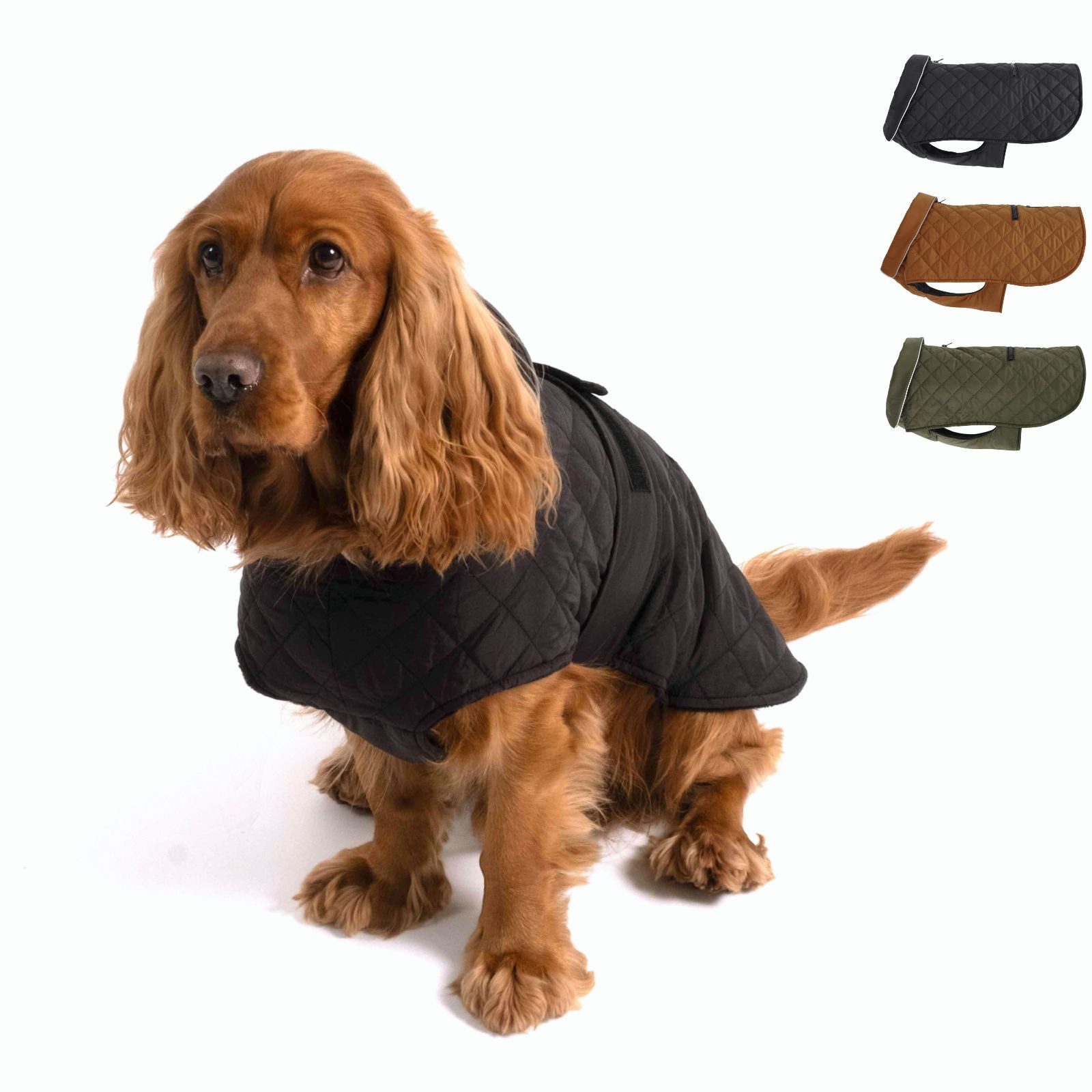 Hundejacke Hundejacke FRITZ Schwarz