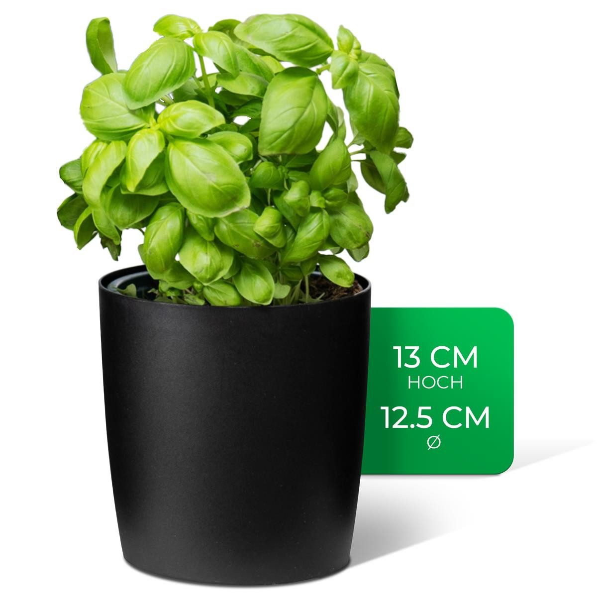 Novaliv Kräutertopf - (1 St), 1x Kräutertöpfe günstig online kaufen