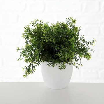 Kunstpflanze Zimmerpflanze, BOLTZE GRUPPE GmbH, Höhe 25 cm