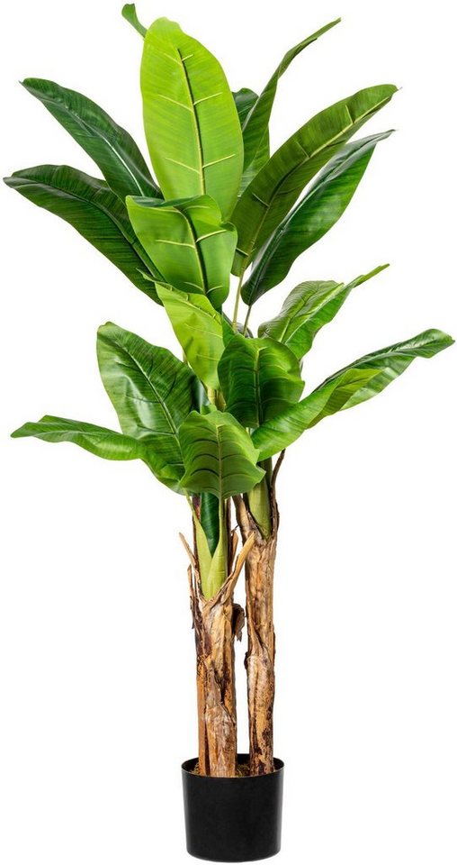 Kunstpalme Bananenpflanze Bananenpflanze, Creativ green, Höhe 150 cm