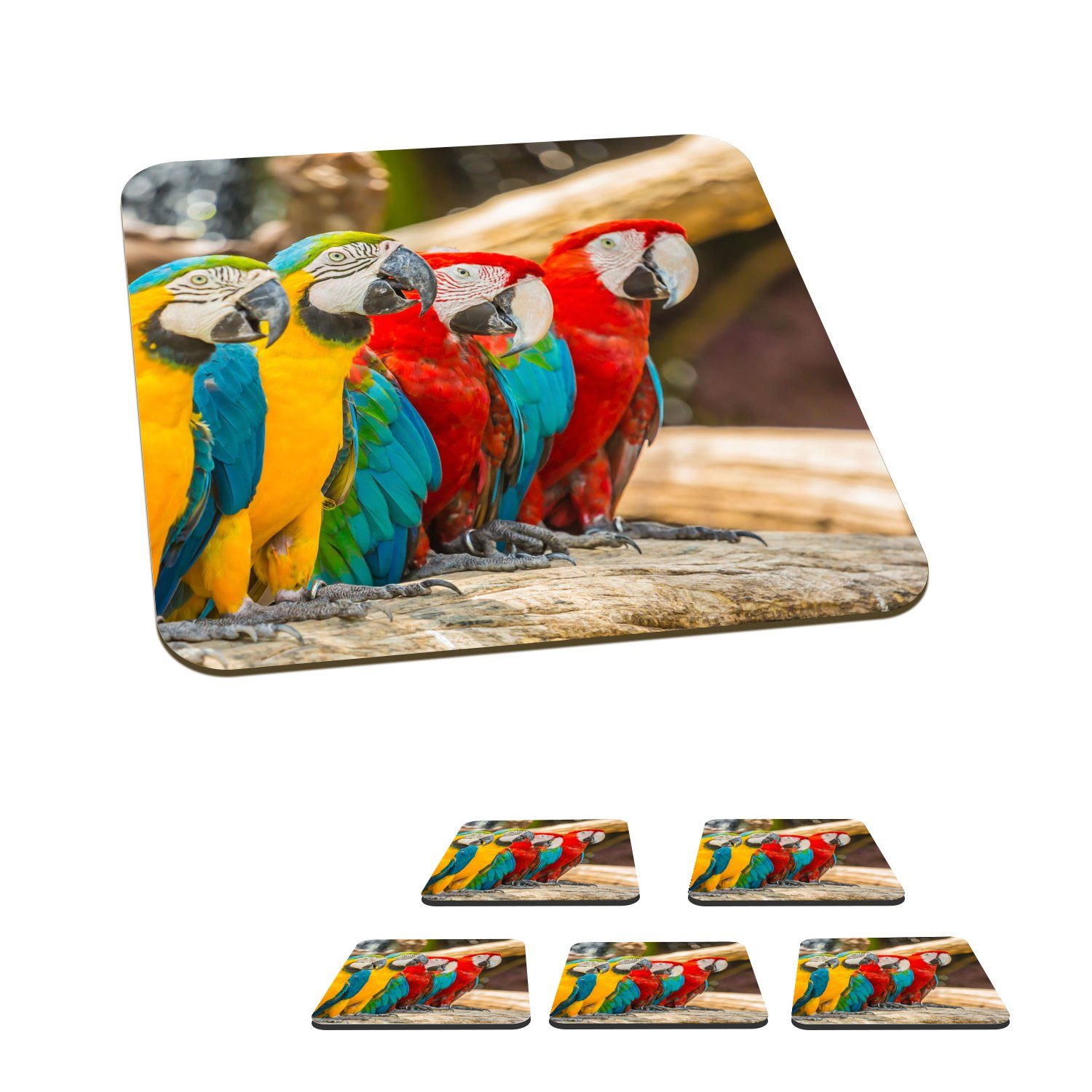 MuchoWow Glasuntersetzer Vögel - Papagei - Tropisch - Natur, Zubehör für Gläser, 6-tlg., Glasuntersetzer, Tischuntersetzer, Korkuntersetzer, Untersetzer, Tasse