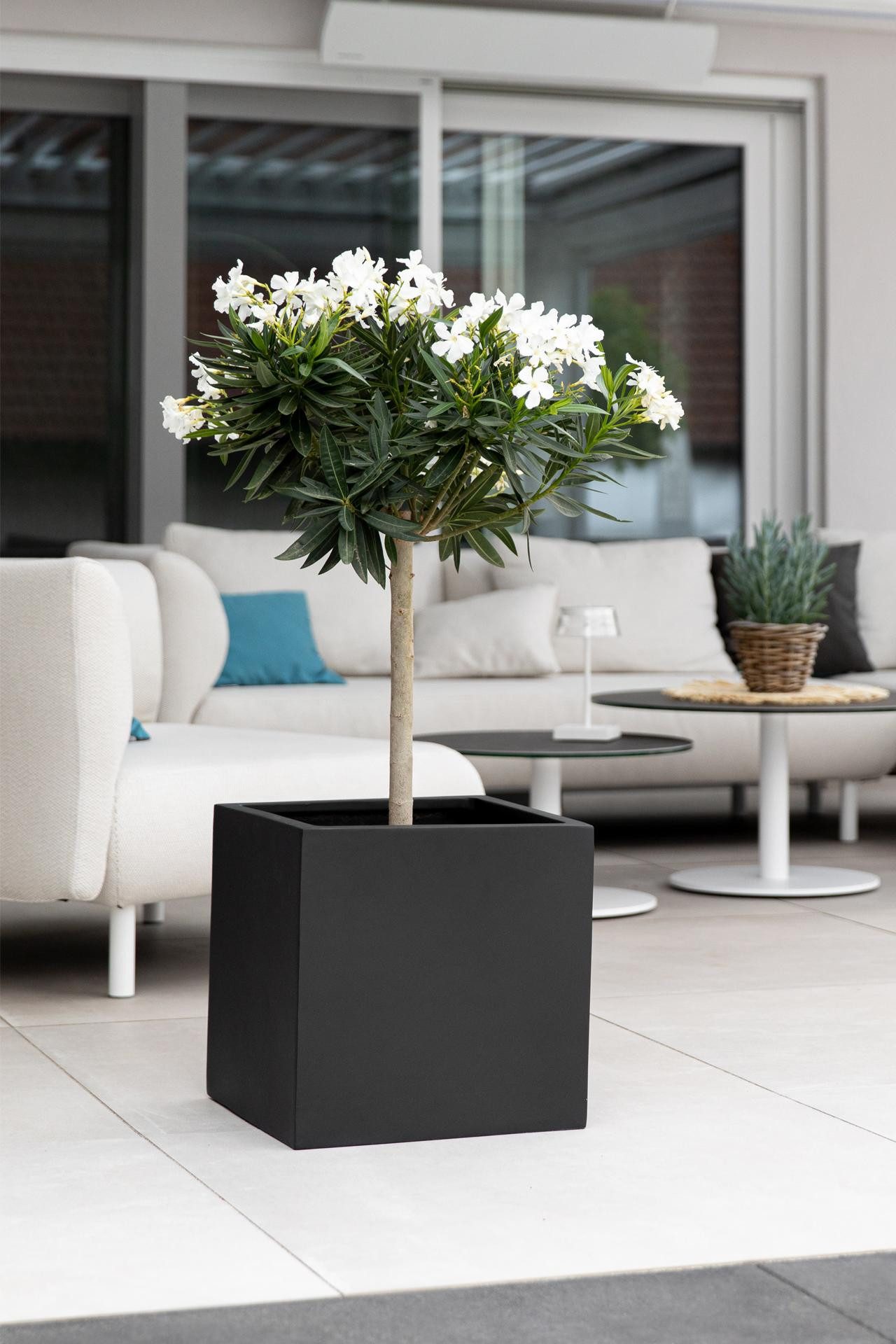 VIVANNO Pflanzkübel Fiberglas BLOCK Würfel - günstig online kaufen