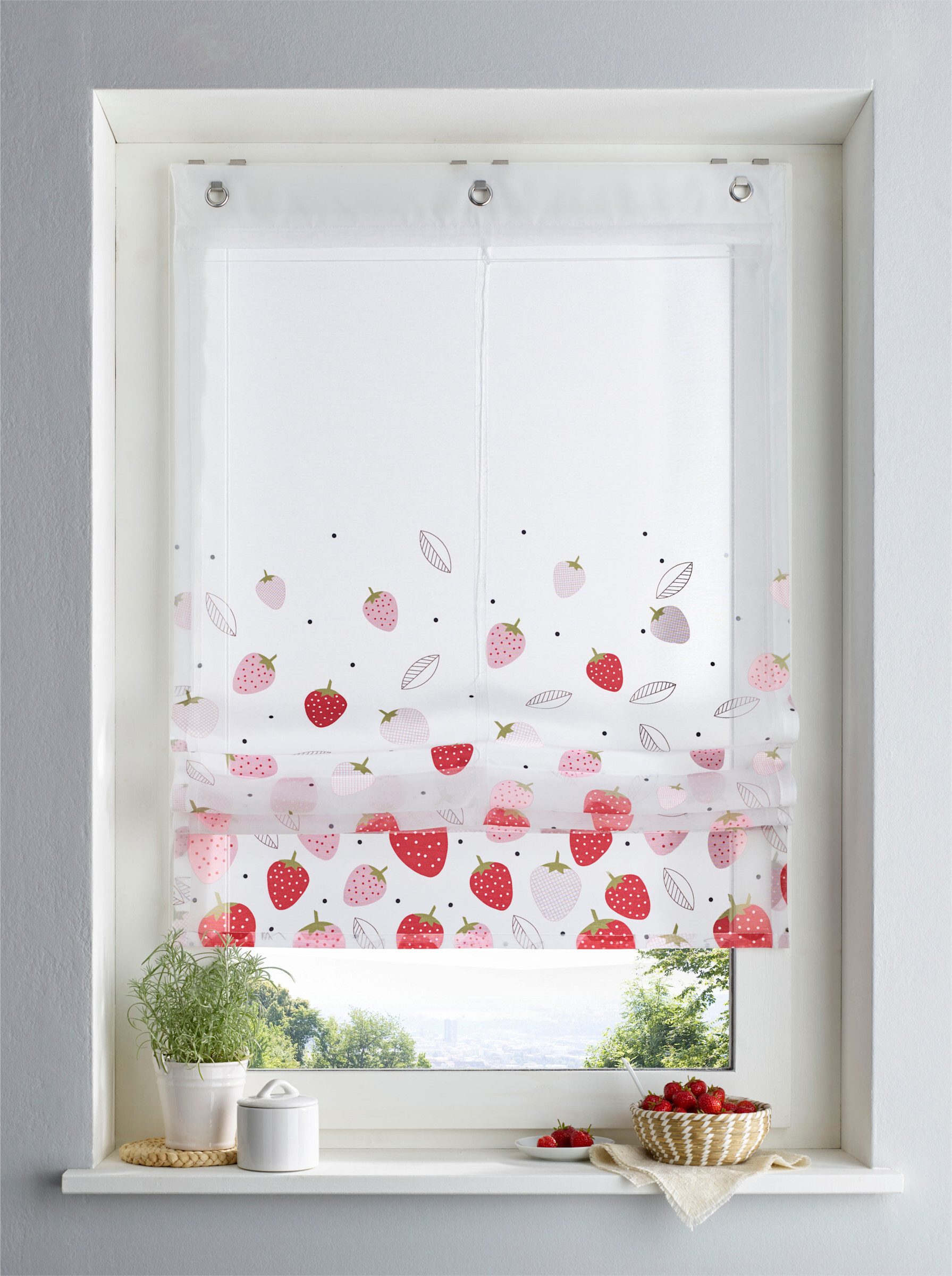 Rollo Raffrollo, heine, halbtransparent, Ösen mit Fensterhaken günstig online kaufen