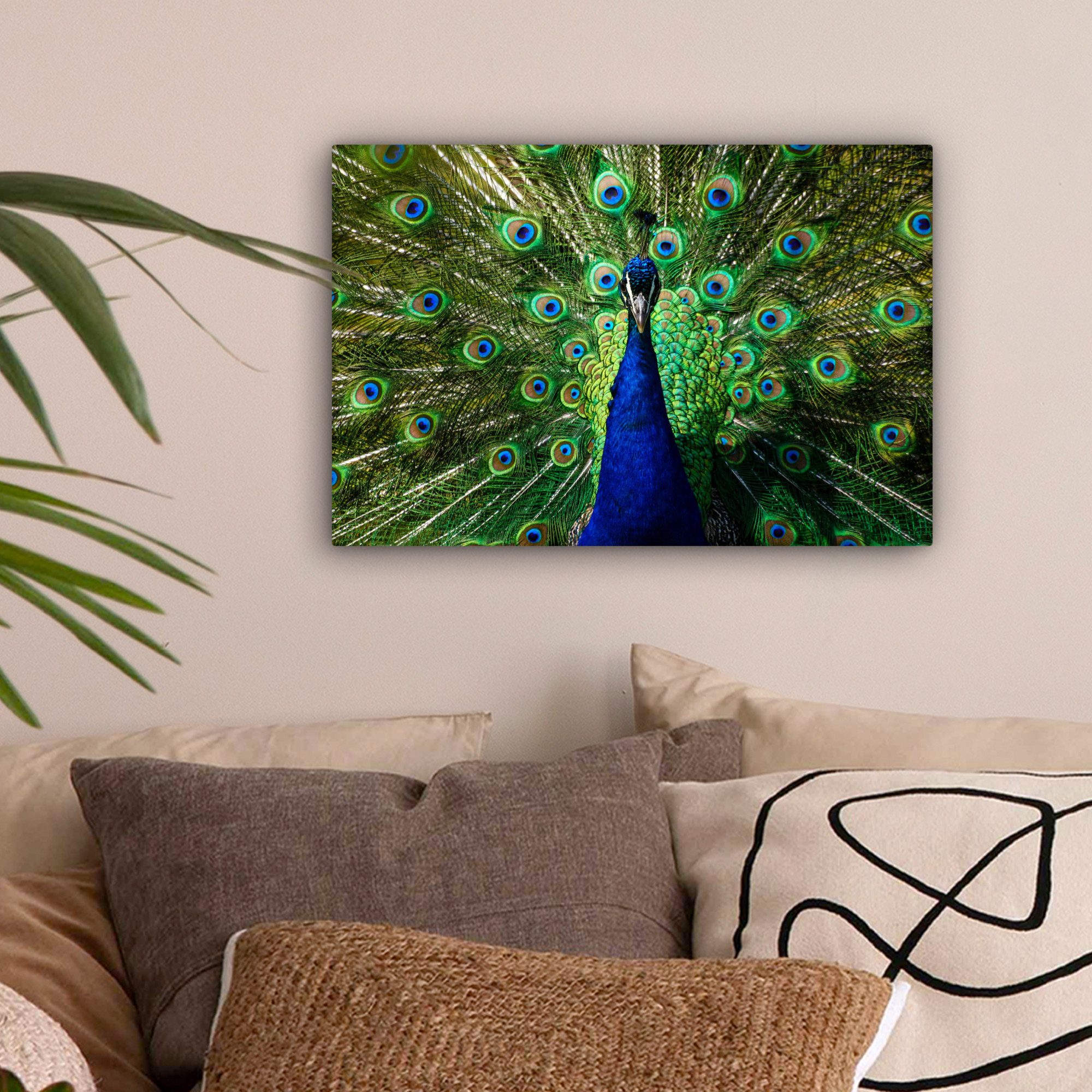 OneMillionCanvasses® Leinwandbild Pfau - Federn - Augen - Blau, Fotodruck ( günstig online kaufen