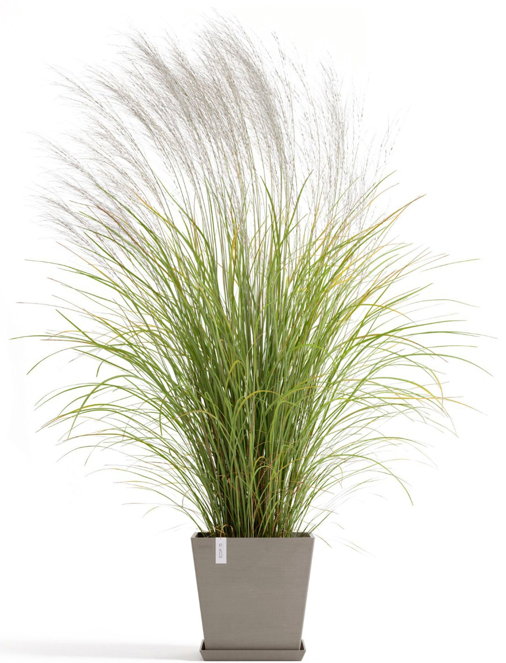 Thumbnail - ECOPOTS Blumentopf Rotterdam 35 + Wassersystem Taupe, für innen und außen: frostsicher, bruchsicher und lichtbeständig