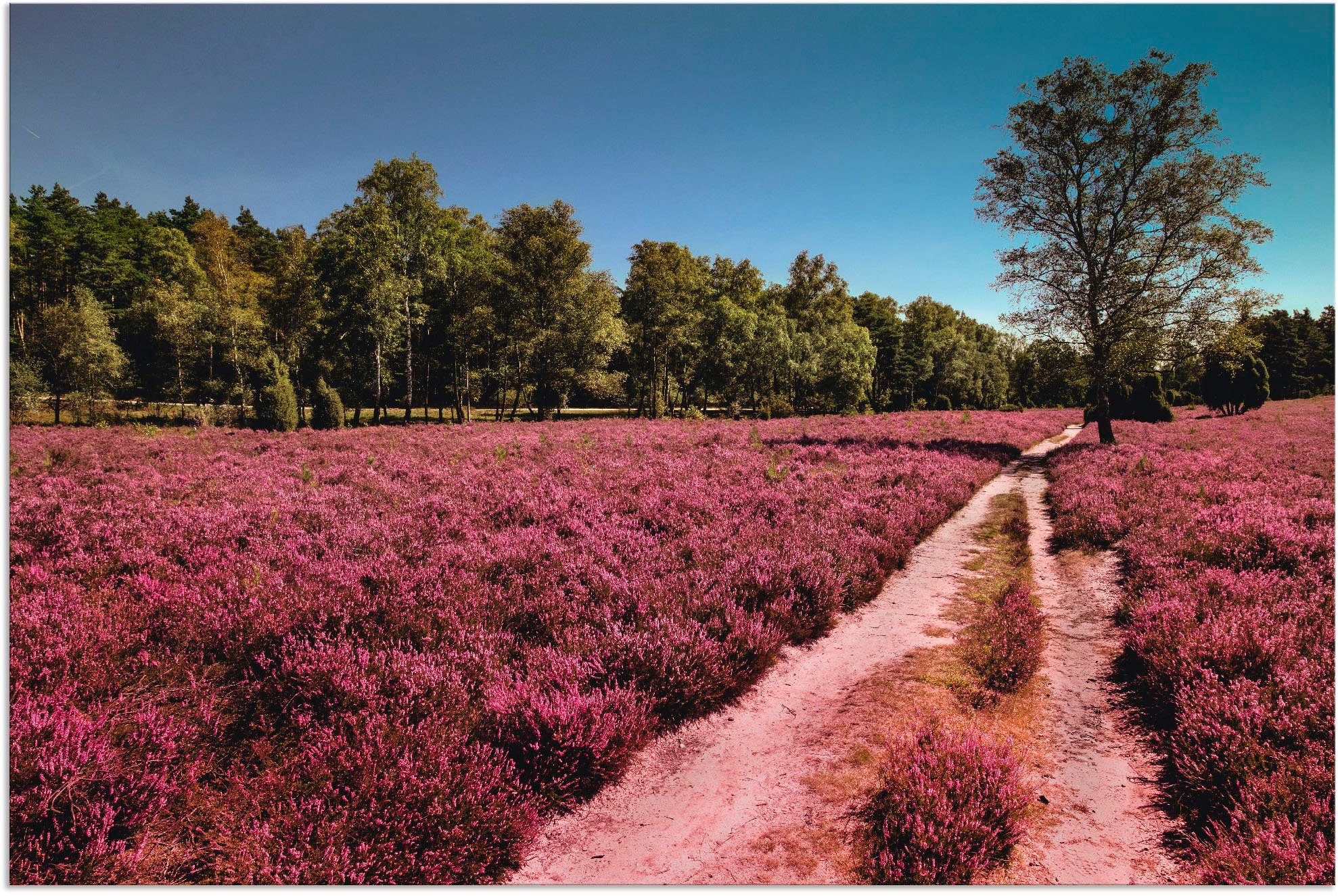 Artland Wandbild Lüneburger Heide Romantik, Blumenwiese (1 St), als Alubild, Leinwandbild, Wandaufkleber oder Poster in versch. Größen