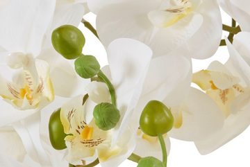 Kunstpflanze Lilington Orchidee, Timbers, Höhe 65 cm, im Zementtopf, Kunstorchidee