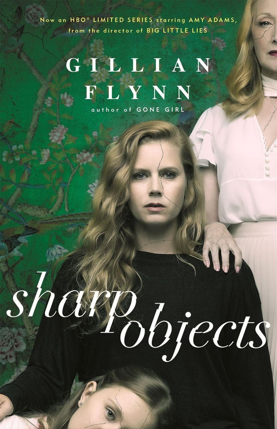 Sharp Objects / Gillian Flynn