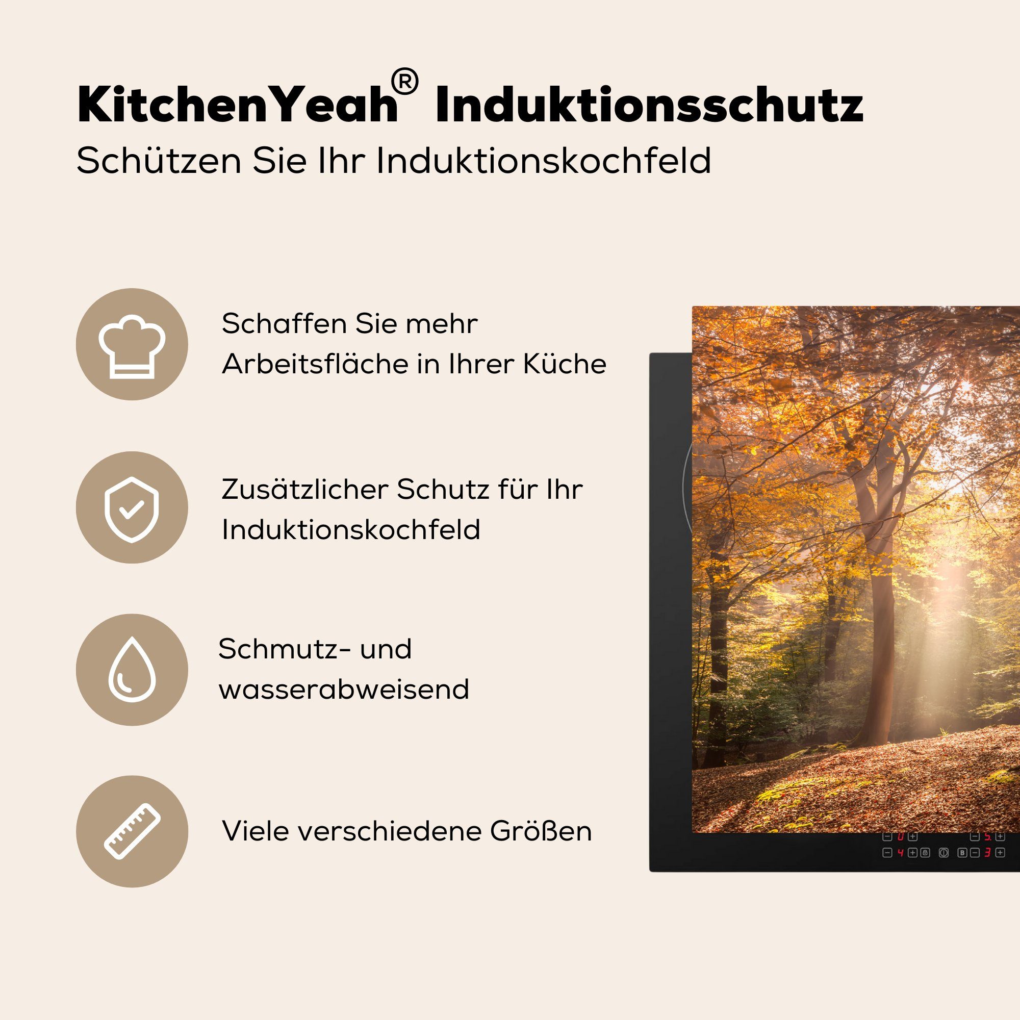 MuchoWow Vinyl, für Ceranfeldabdeckung die 81x52 (1 Herbst cm, tlg), Schutz Wald küche, - Bäume, - Herdblende-/Abdeckplatte Induktionskochfeld