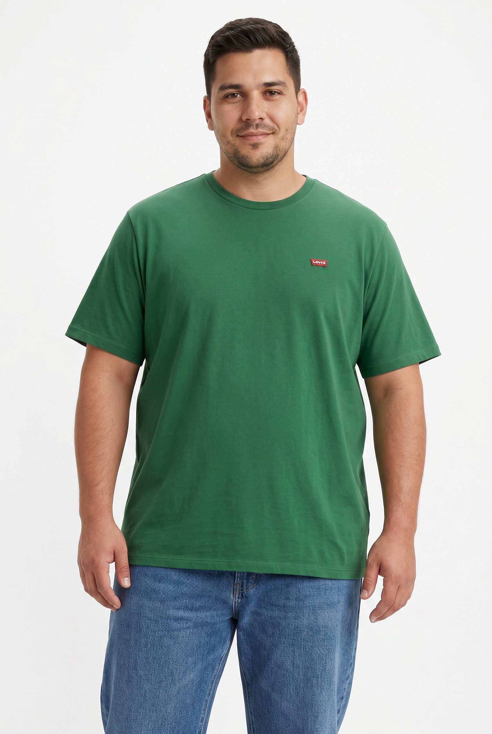 Levi's® Plus T-Shirt LE BIG ORIGINAL HM TEE mit Logo Stickerei