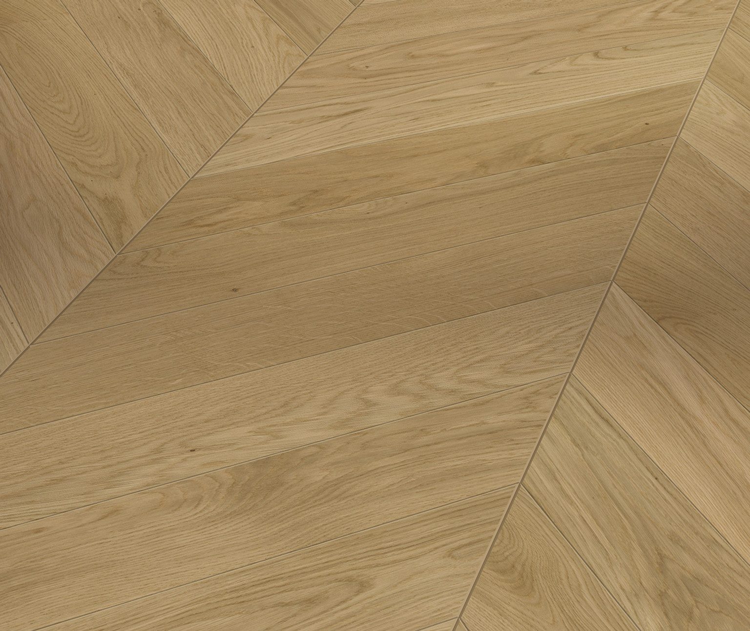PARADOR Parkett PARADOR Parkett Trendtime 10 Natur Chevron – Chevron/Fischgrät, 15 mm, PARADOR Parkett Trendtime 10 Natur Chevron: Chevron/Fischgrät, 15 mm