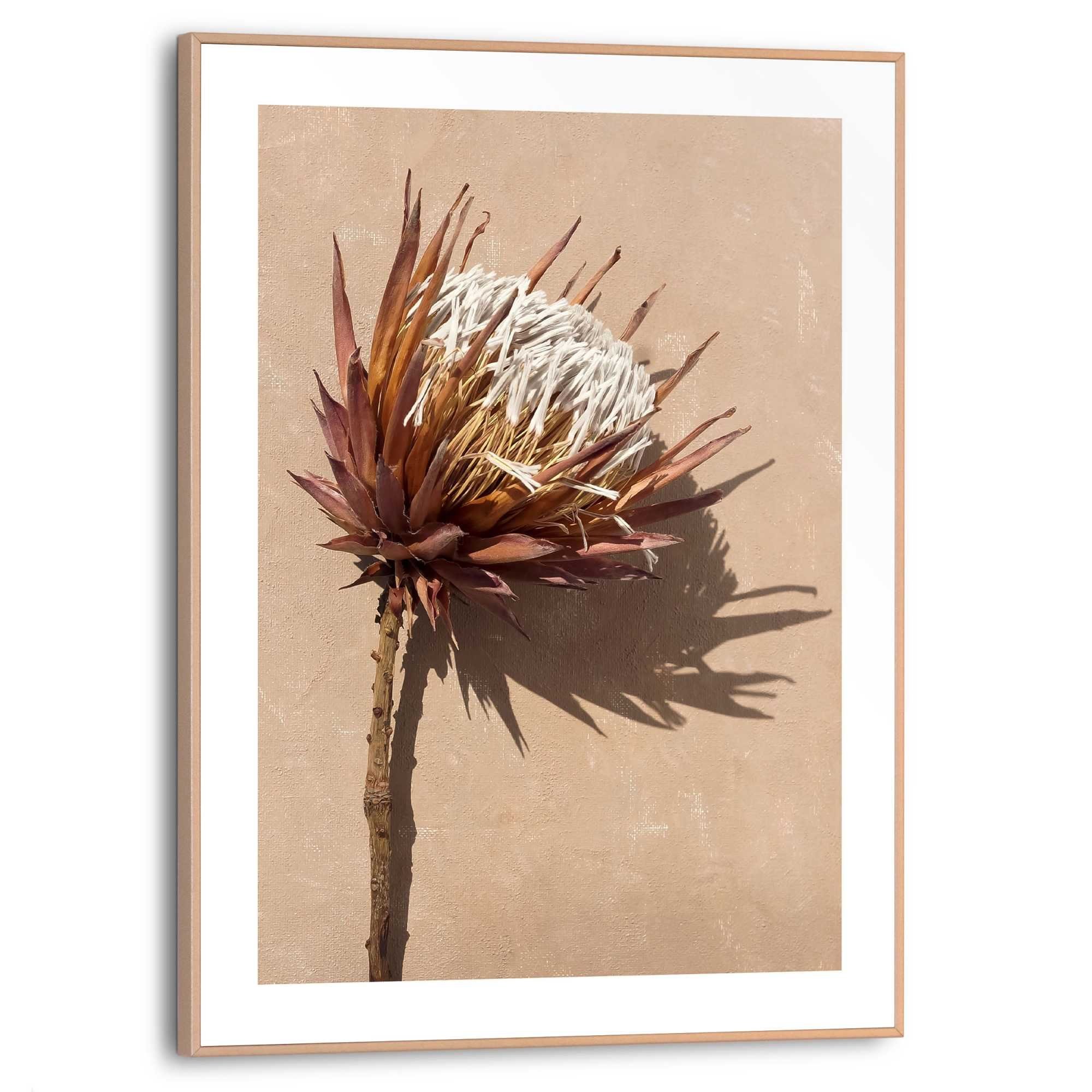 Reinders! Poster Protea Blume