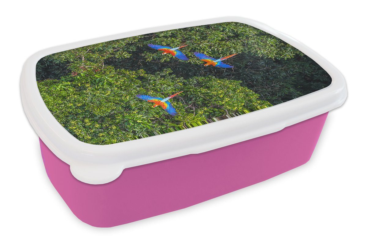 MuchoWow Lunchbox Dschungel - Baum - Papagei - Jungen - Mädchen - Kinder, Kunststoff, (2-tlg), Brotbox für Erwachsene, Brotdose Kinder, Snackbox, Mädchen, Kunststoff rosa
