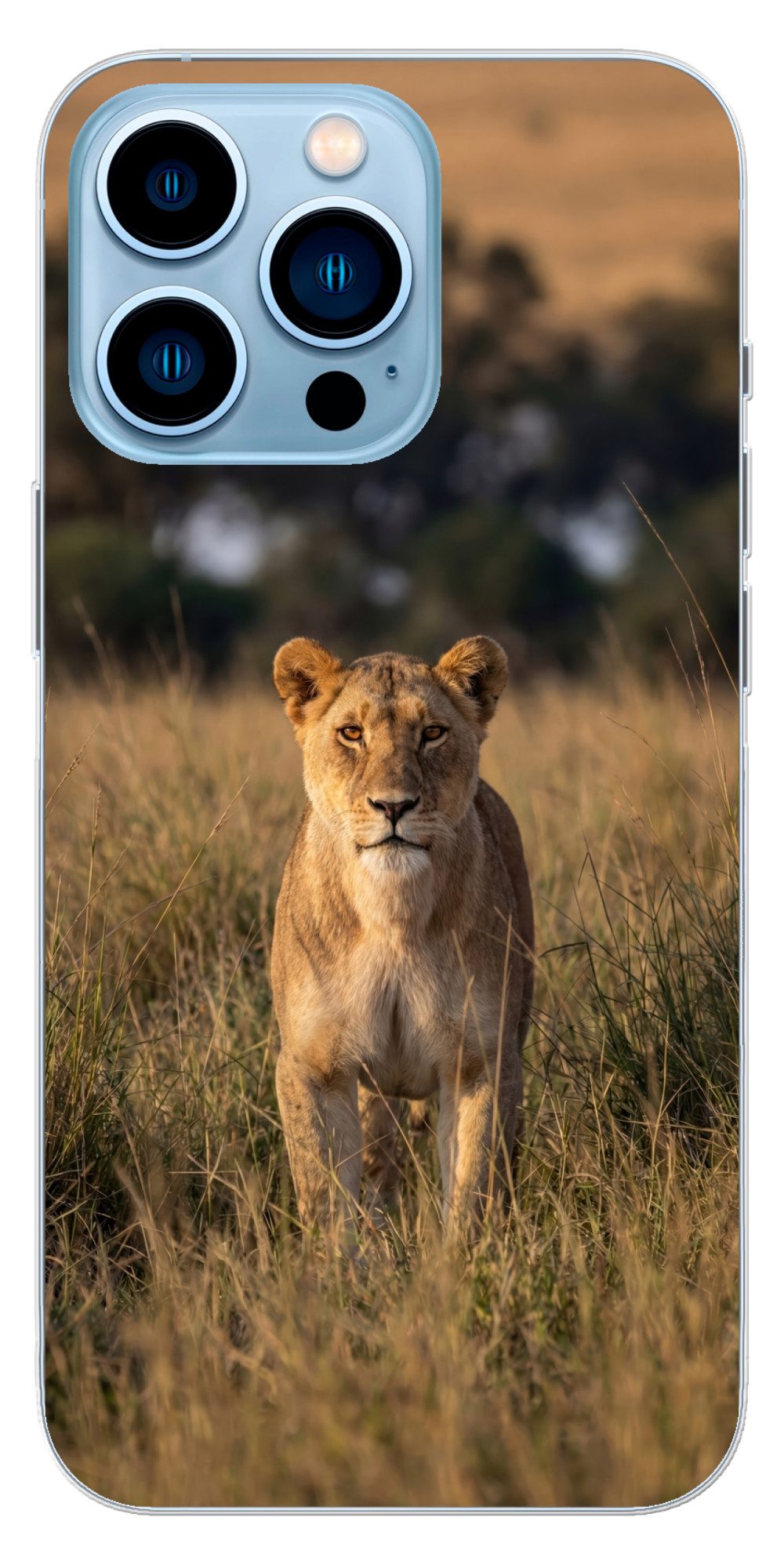 MuchoWow Handyhülle für Apple iPhone 13 Pro Löwin - Gras - Gelb, Smartphone-Bumper, Print, Handy Schutzhülle Dünn