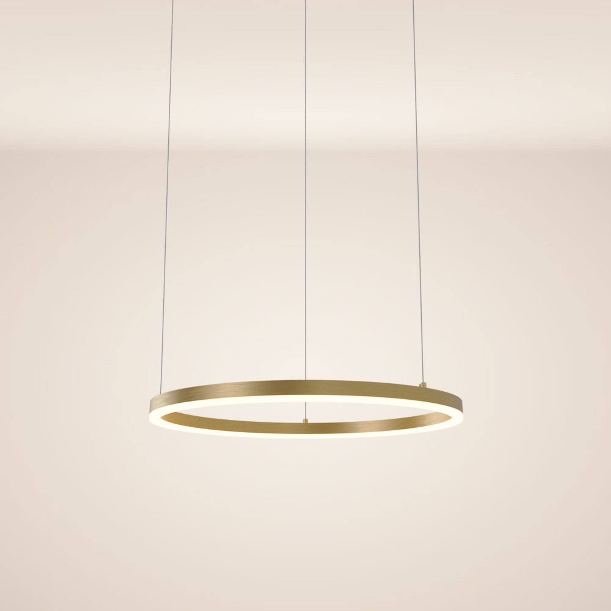 s.luce Pendelleuchte LED Pendelleuchte Ring 60 direkt oder indirekt 5m Abhängung Gold, Warmweiß