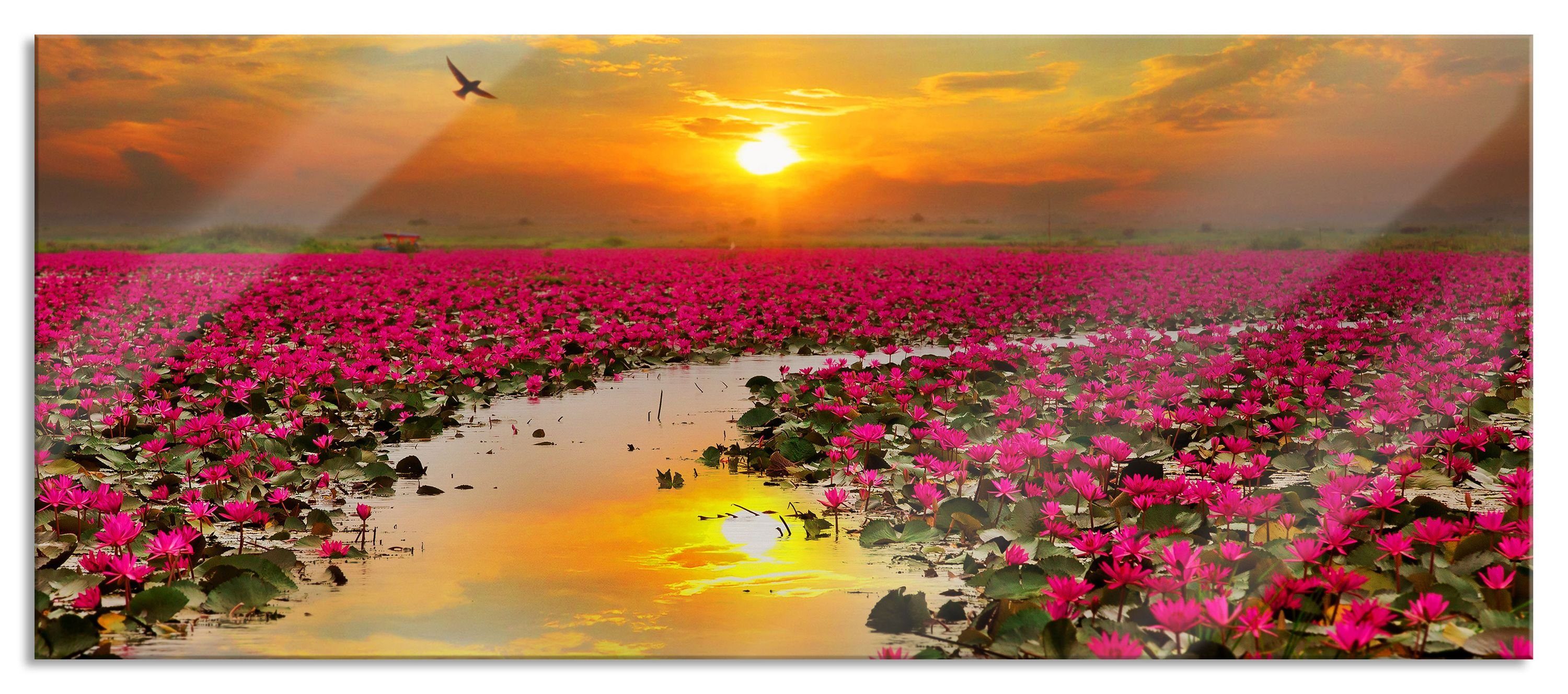 Glasbild Lotusblüten am See