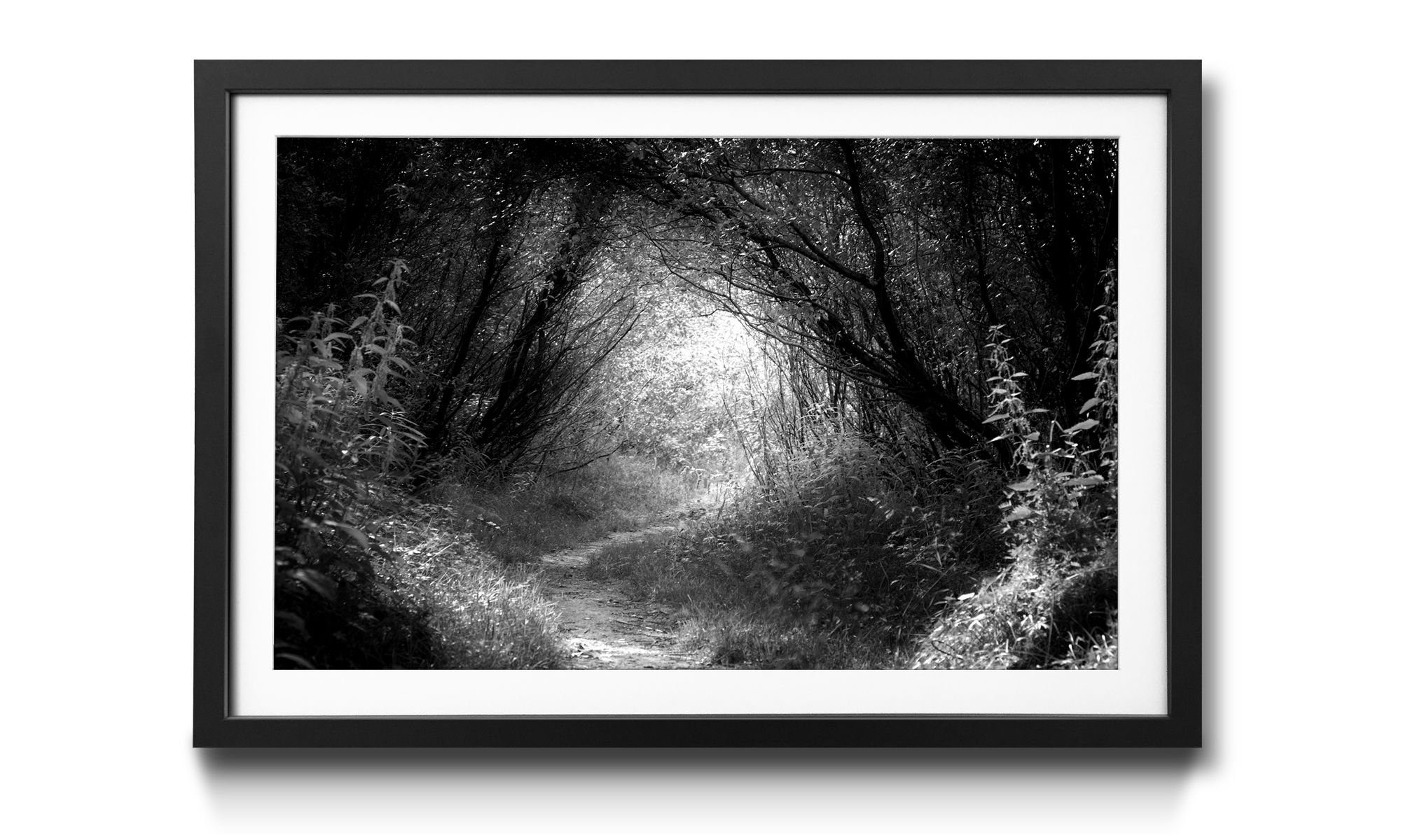 WandbilderXXL Kunstdruck Way in Deep Forest, Wald, Wandbild, in 4 Größen erhältlich