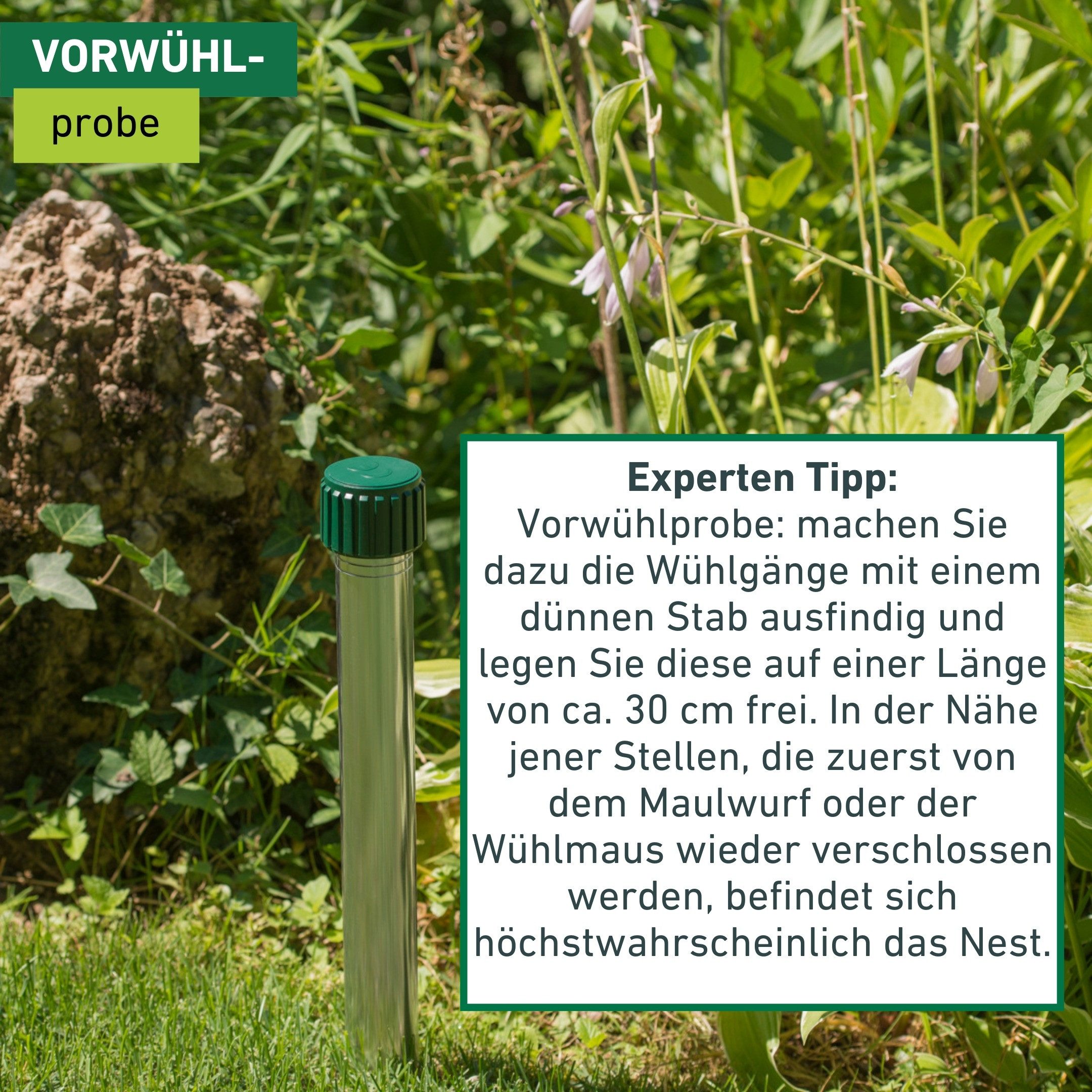Windhager Ultraschall-Tierabwehr Maulfwurfschreck und Wühlmausvertreiber Aluminium, batteriebetrieben, Wirkungsbereich 800 m² mit niederfrequenten Schallwellen – Bild 3 von 5