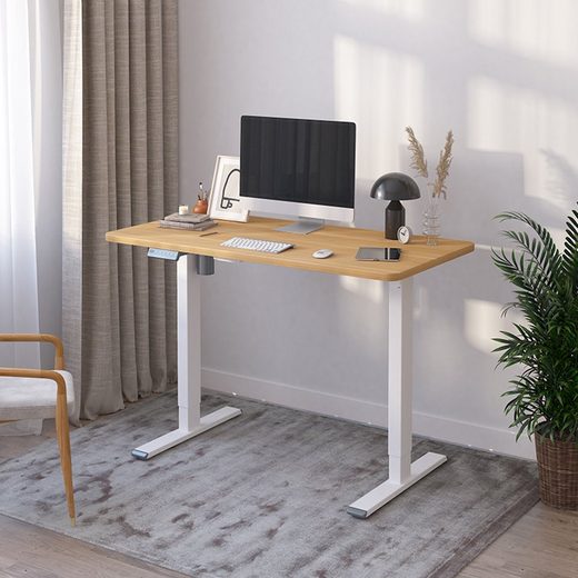 FLEXISPOT Schreibtisch »EF1(E1)«, Elektrisch Höhenverstellbarer