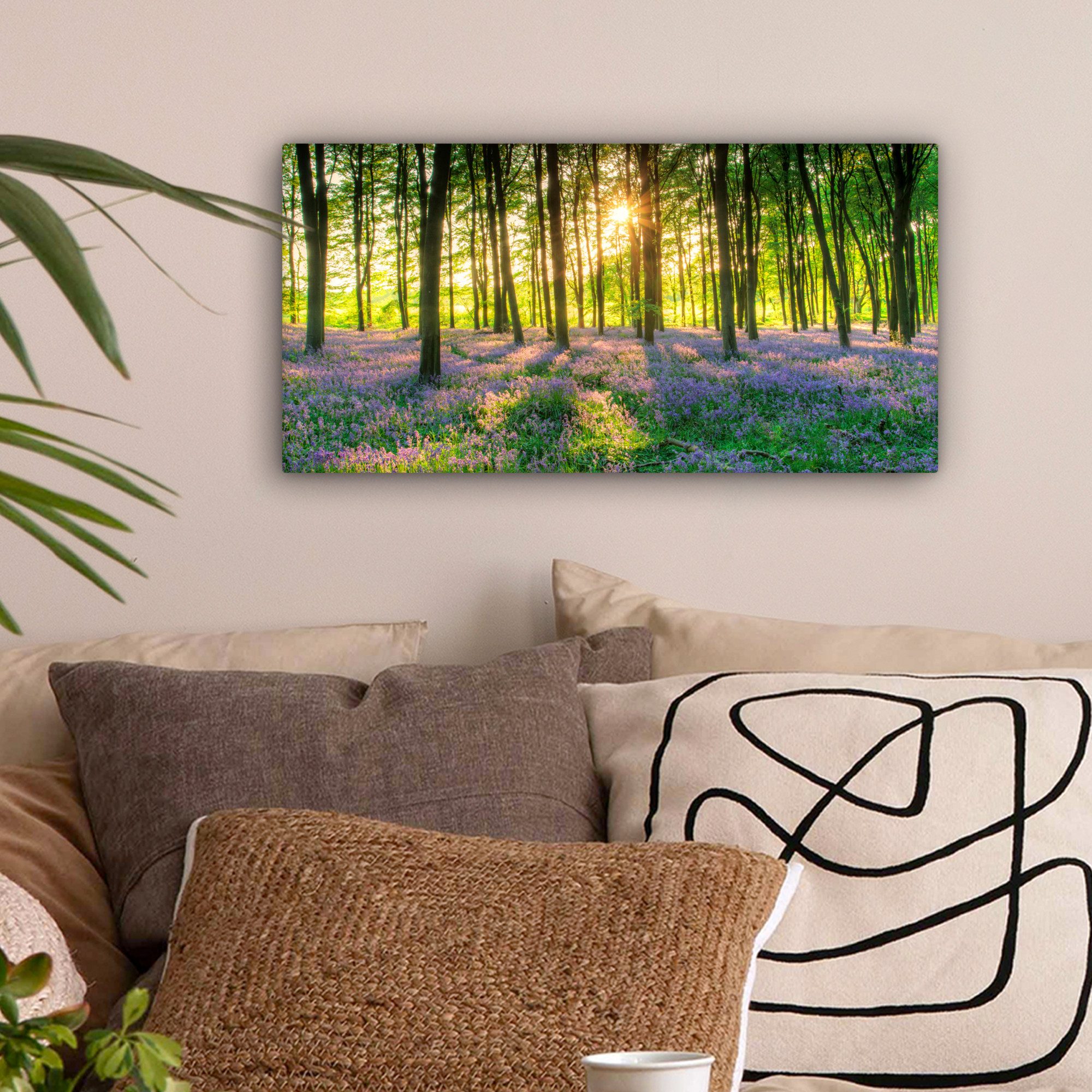 OneMillionCanvasses® Leinwandbild Panorama Frühling - Wald günstig online kaufen