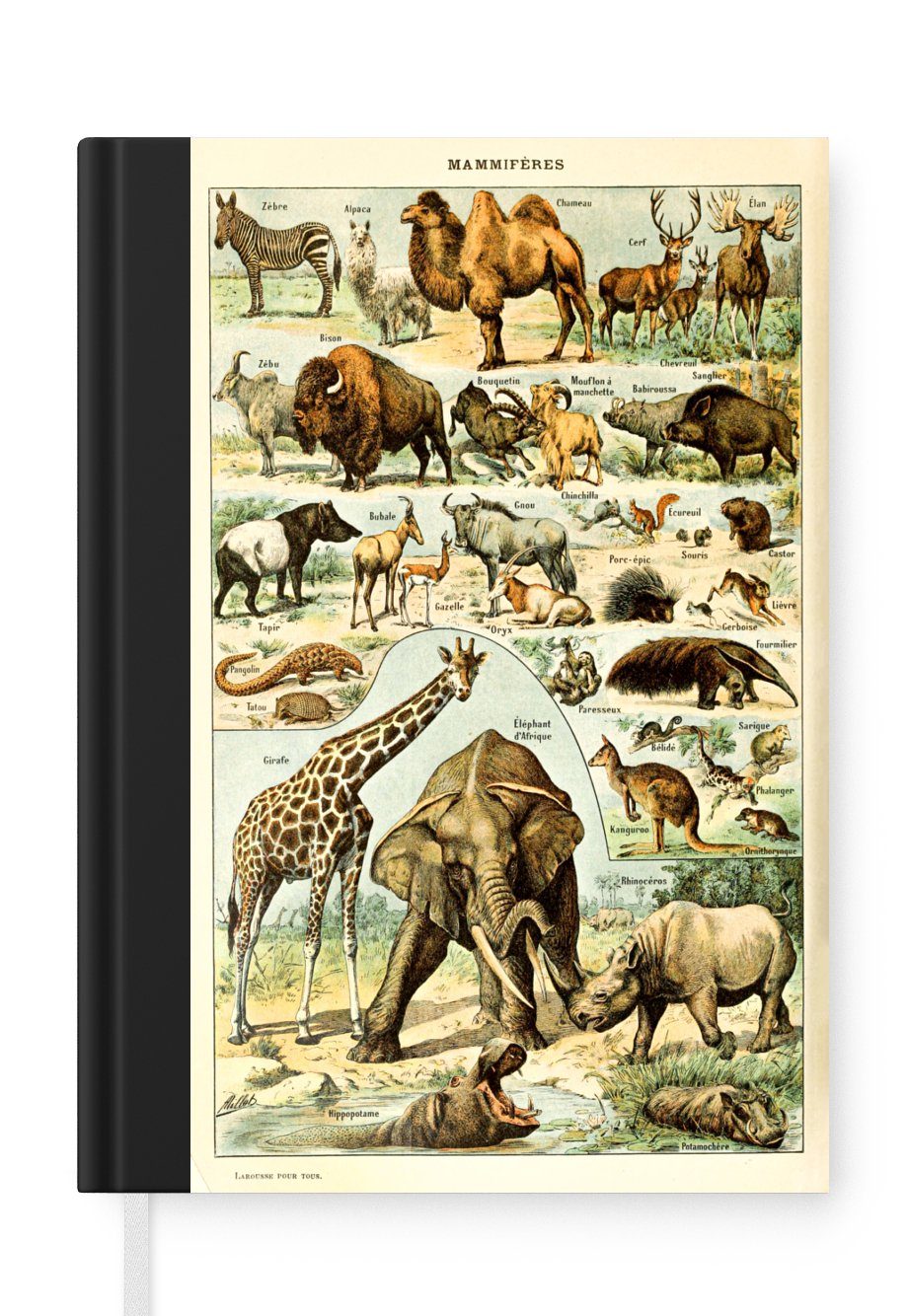 MuchoWow Notizbuch Tiere - Kamel - Giraffe - Jahrgang - Adolphe Millot, Journal, Merkzettel, Tagebuch, Notizheft, A5, 98 Seiten, Haushaltsbuch
